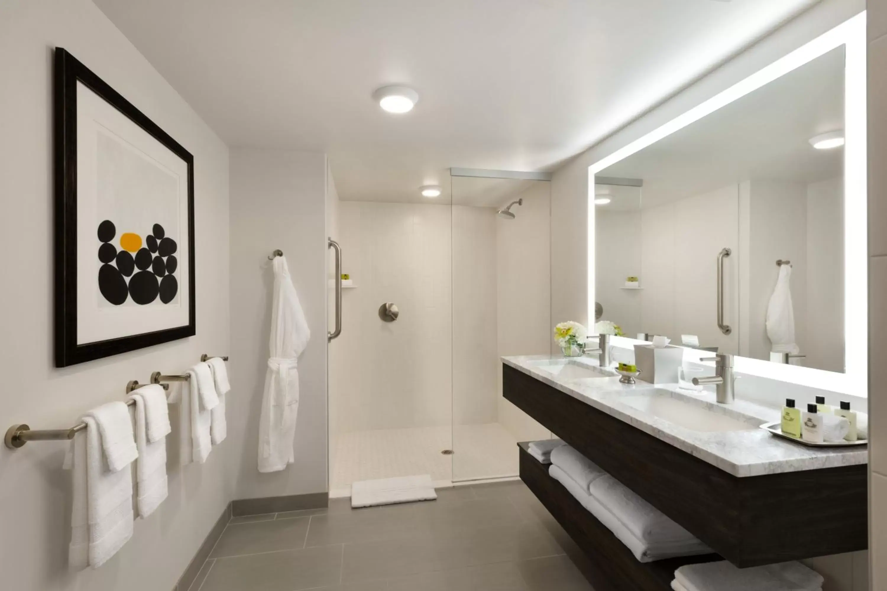 Photo of the whole room, Bathroom in InterContinental St. Paul Riverfront, an IHG Hotel