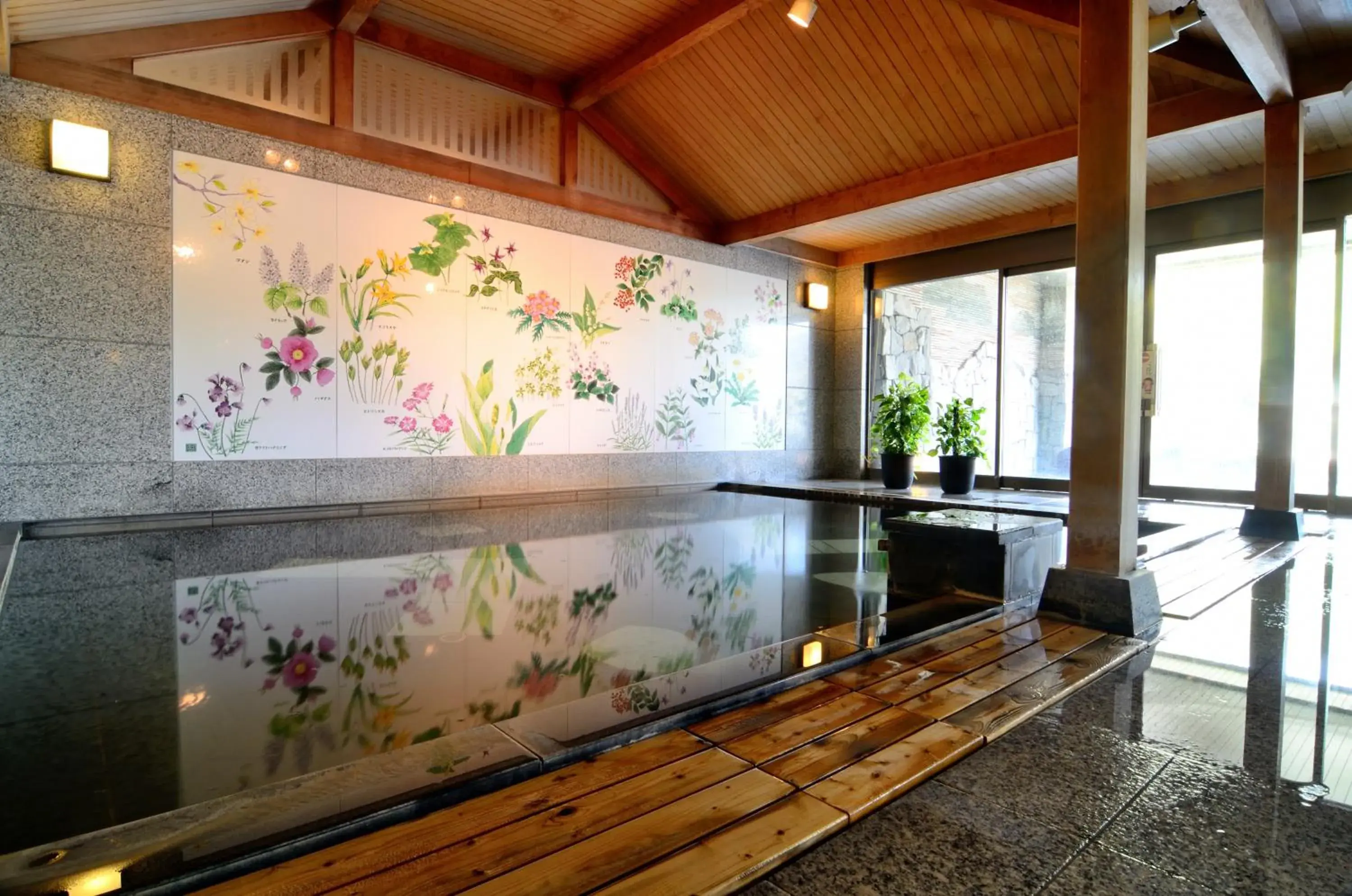Hot Spring Bath, Swimming Pool in Jozankei Manseikaku Hotel Milione