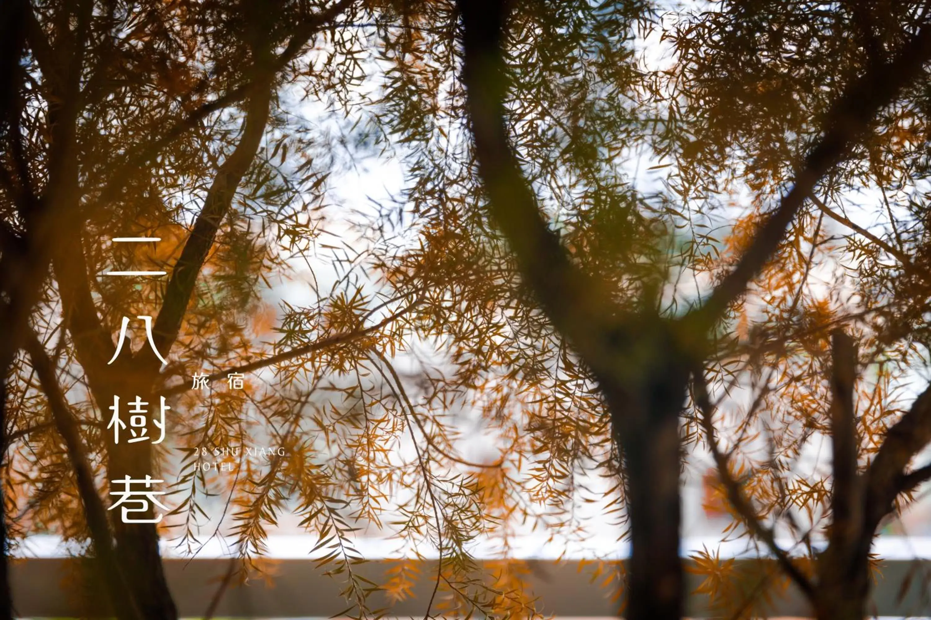 Natural landscape in 28 Shu Xiang Hotel