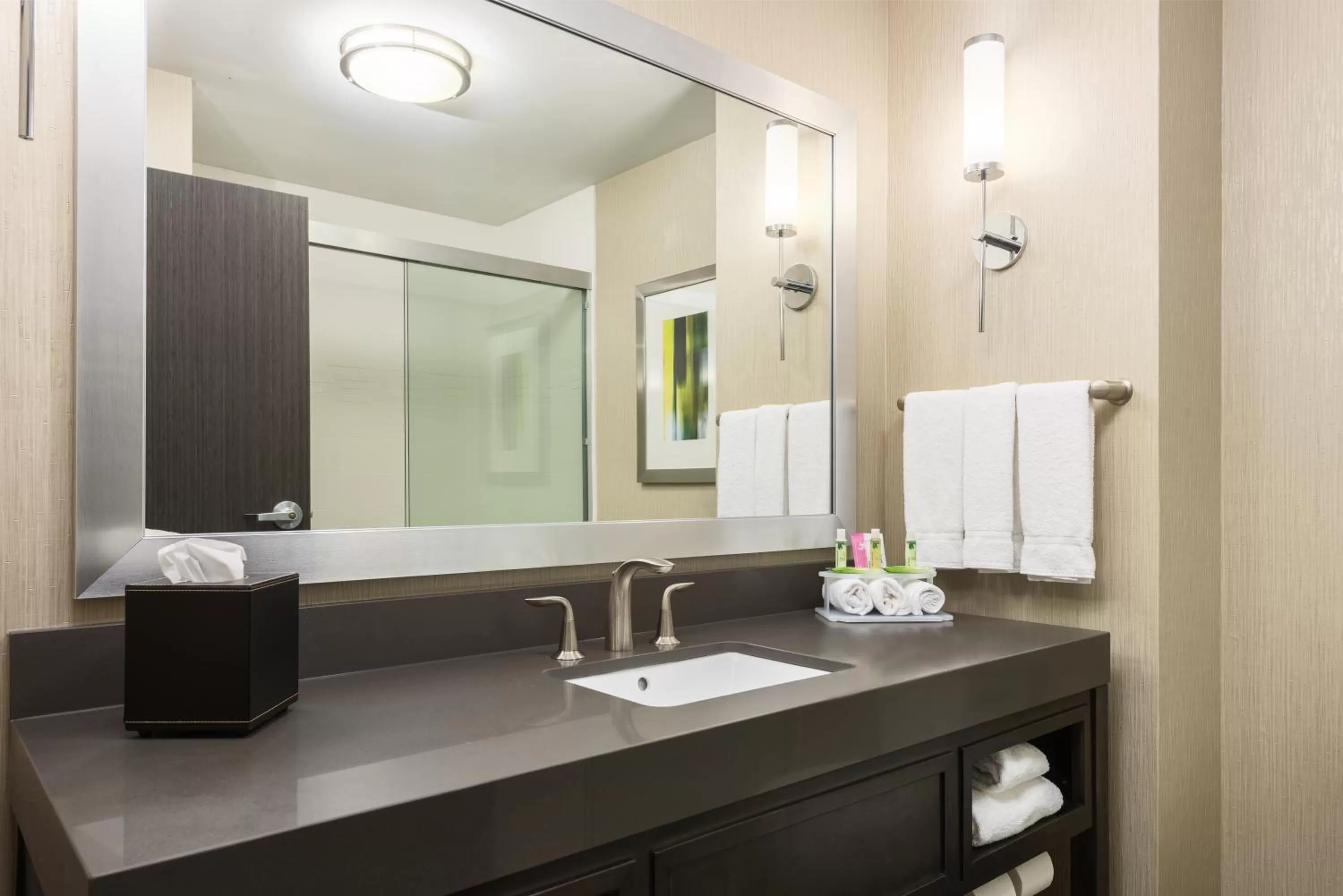 Bathroom in Holiday Inn Express and Suites Norman by IHG