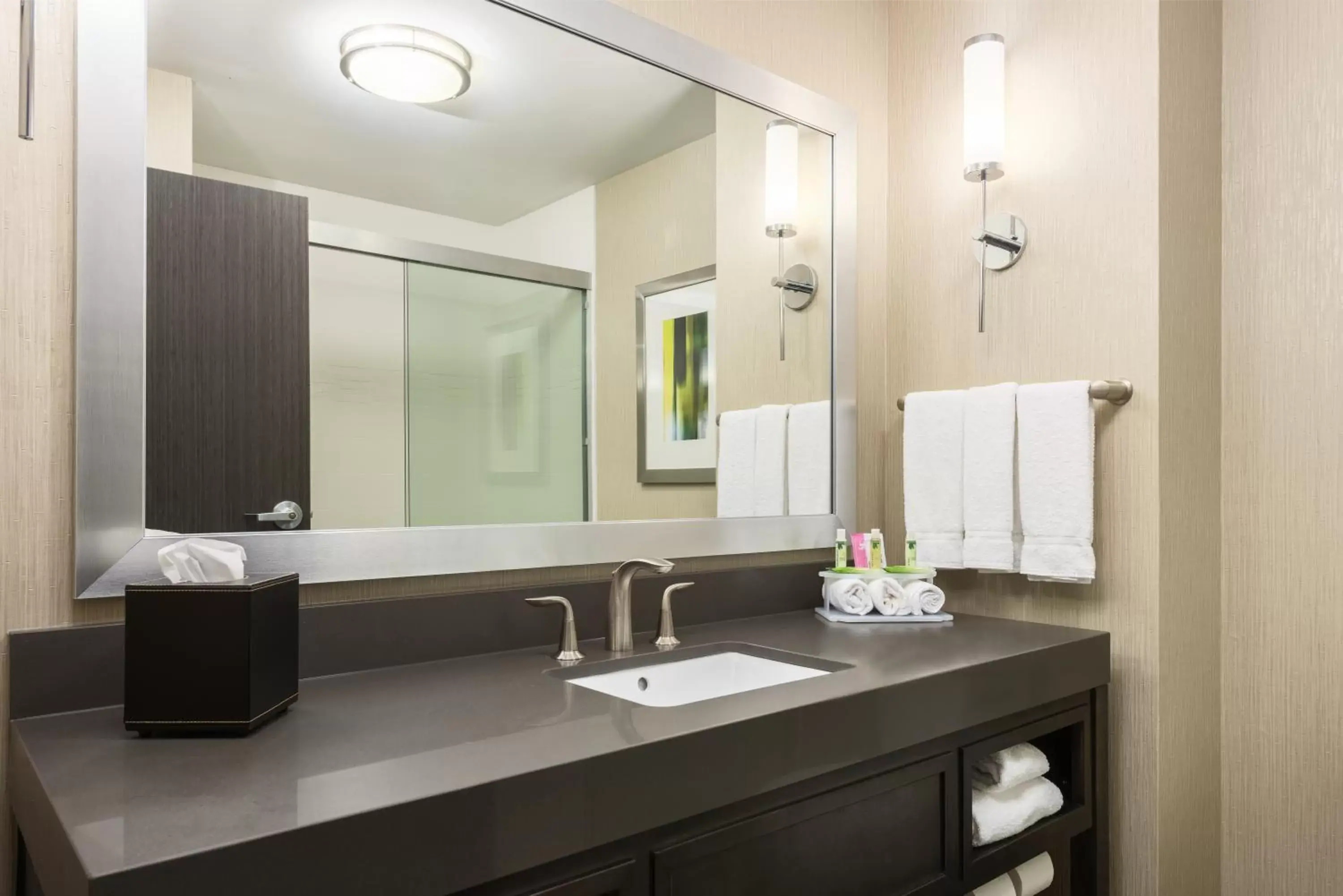 Bathroom in Holiday Inn Express and Suites Norman, an IHG Hotel