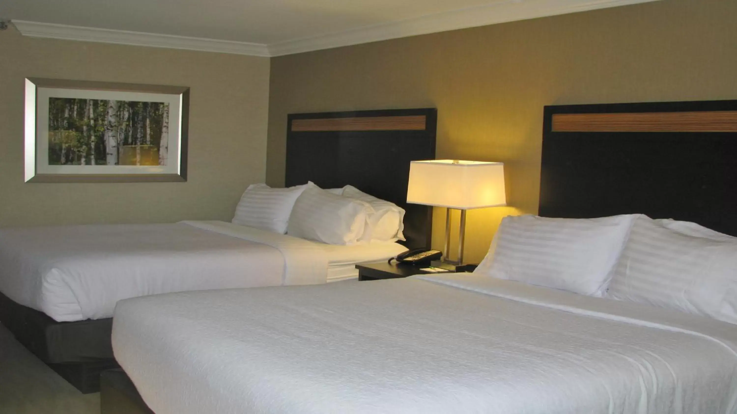 Photo of the whole room, Bed in Holiday Inn Concord Downtown, an IHG Hotel