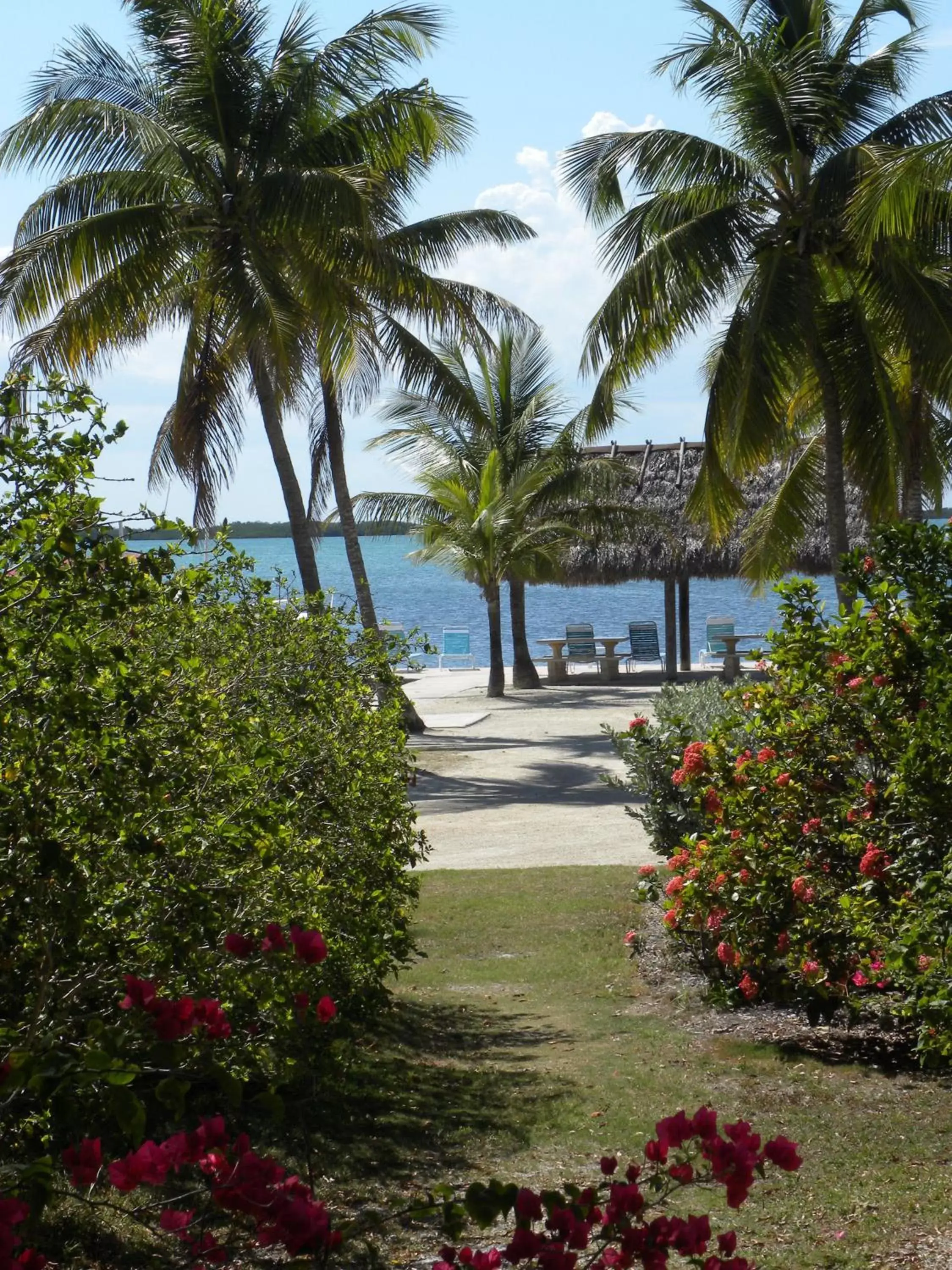 Garden in Rock Reef Resort