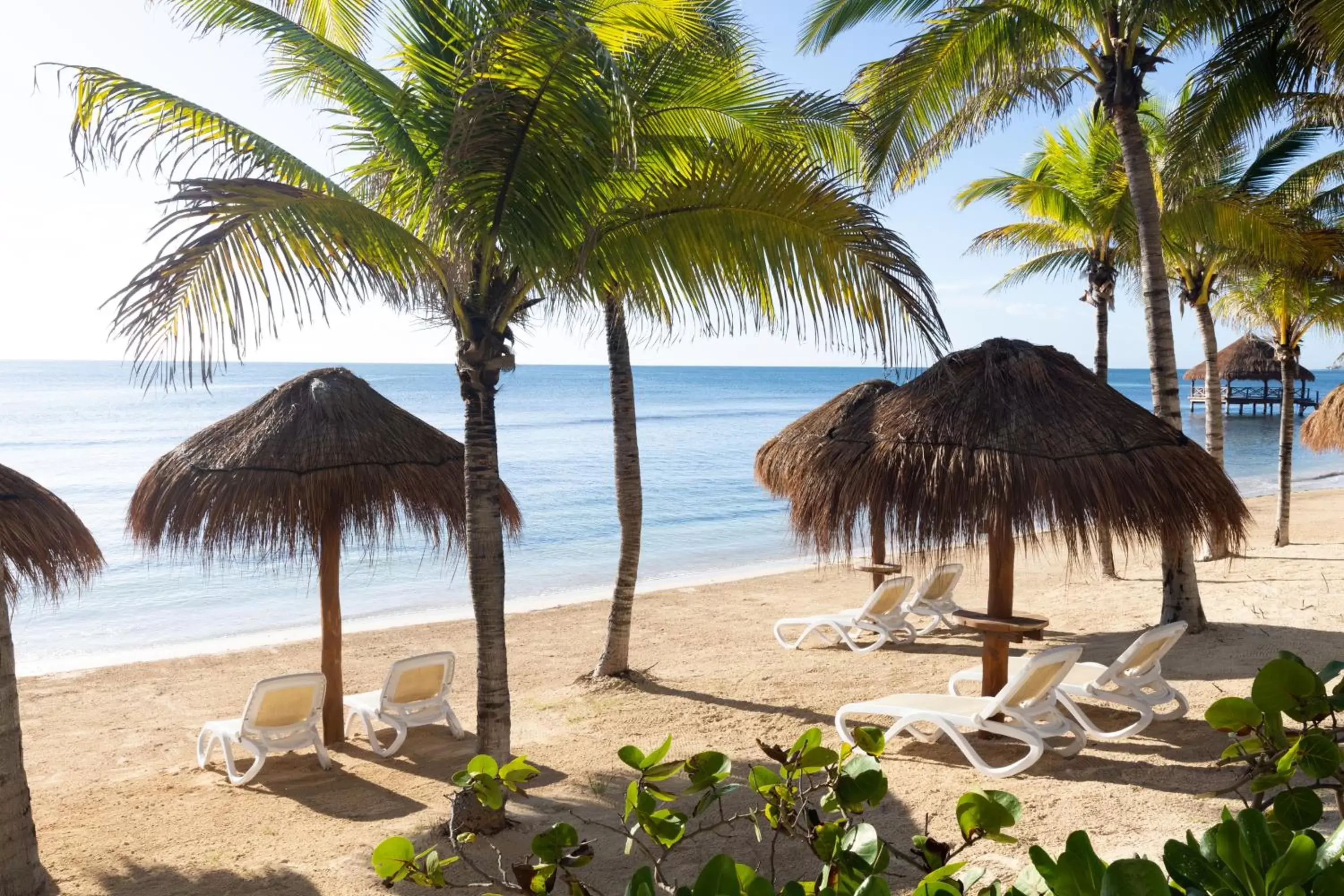 Beach in Hyatt Ziva Riviera Cancun All-Inclusive