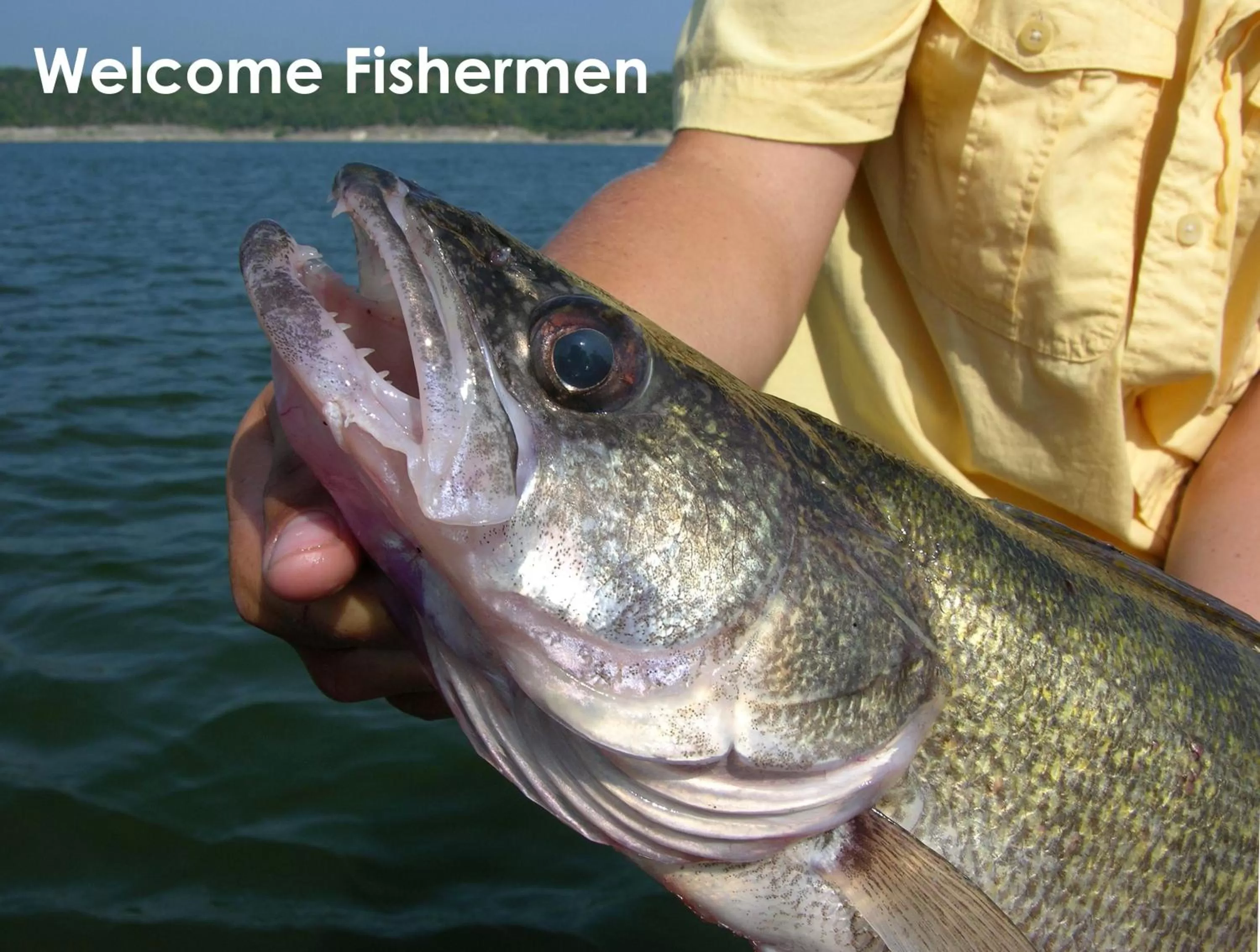 Fishing in Super 8 by Wyndham Pierre SD