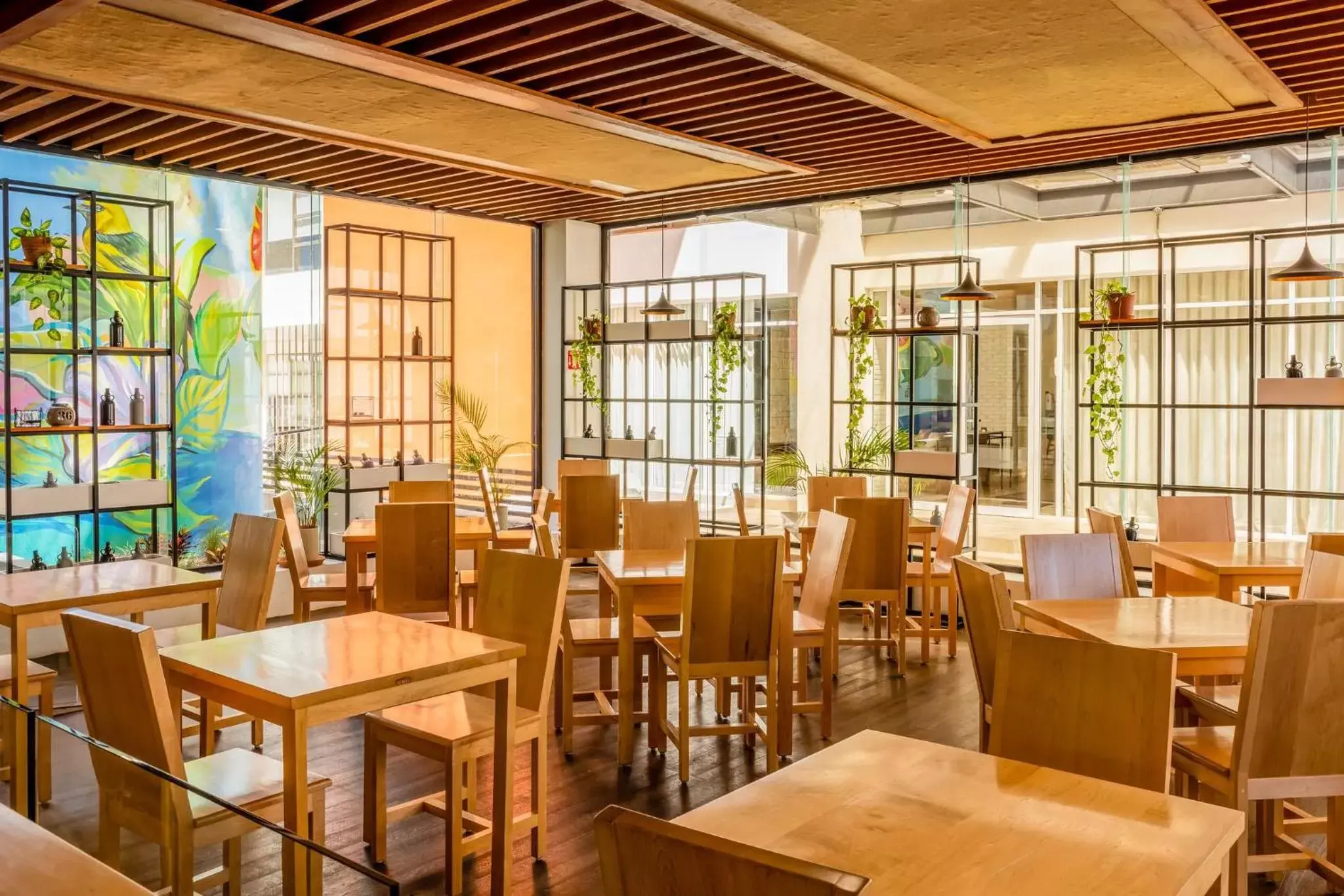 Restaurant/Places to Eat in Wyndham Garden Cancun Downtown