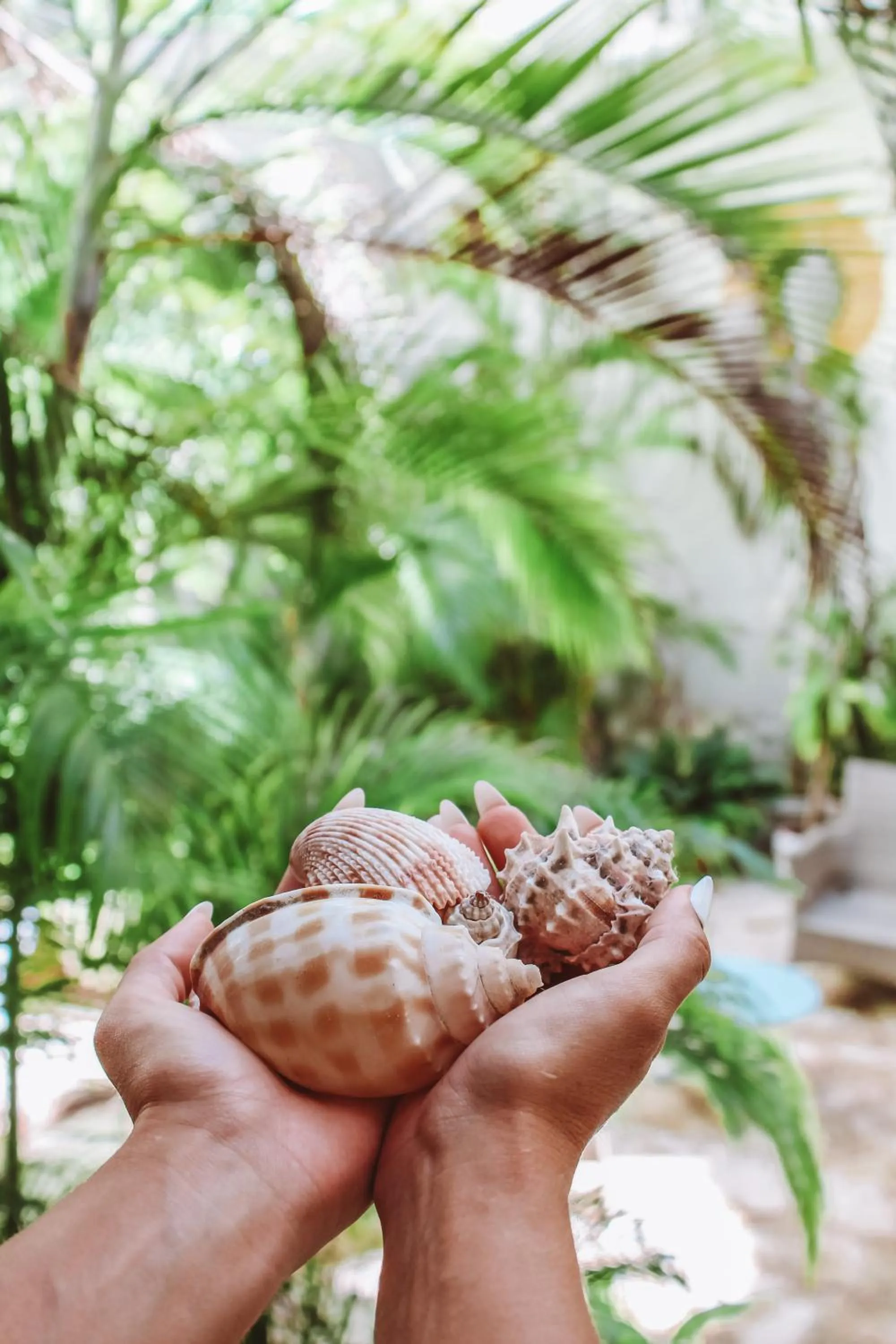 Hotel Coco Rio "City Center"