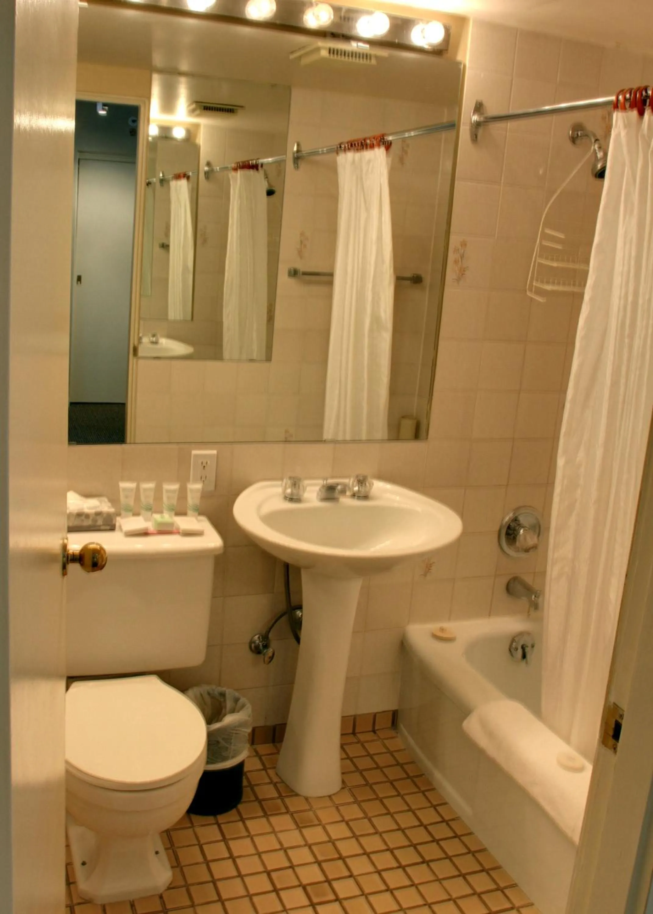 One-Bedroom Suite in Rosellen Suites at Stanley Park