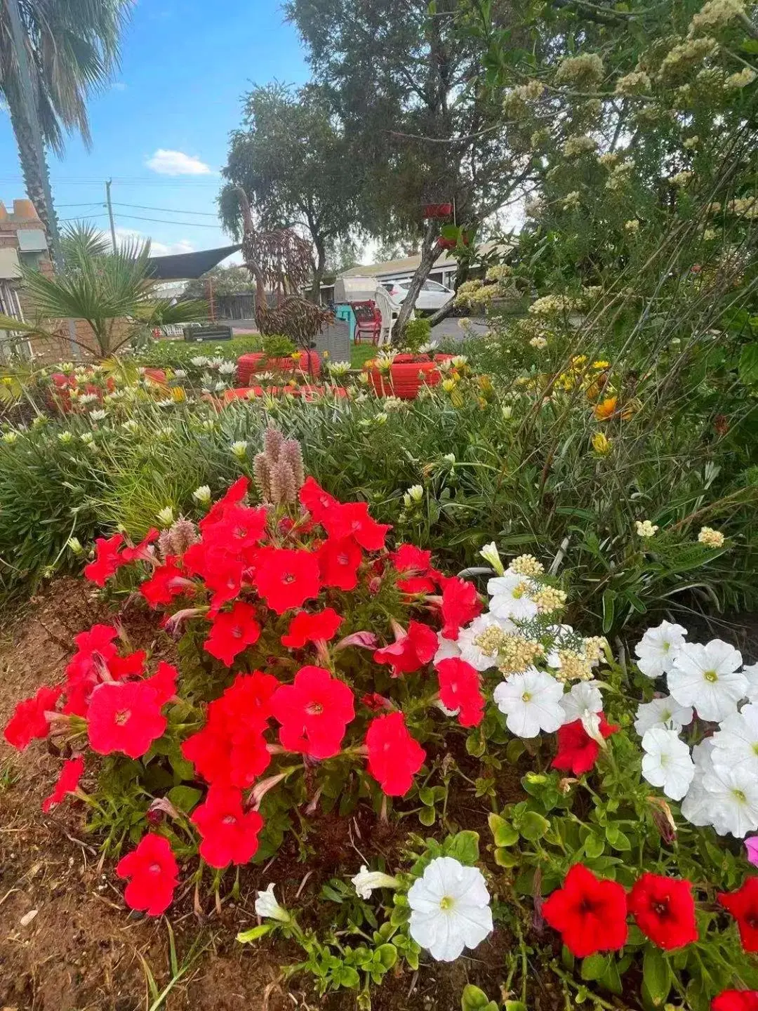 Garden in Mandalay Motel