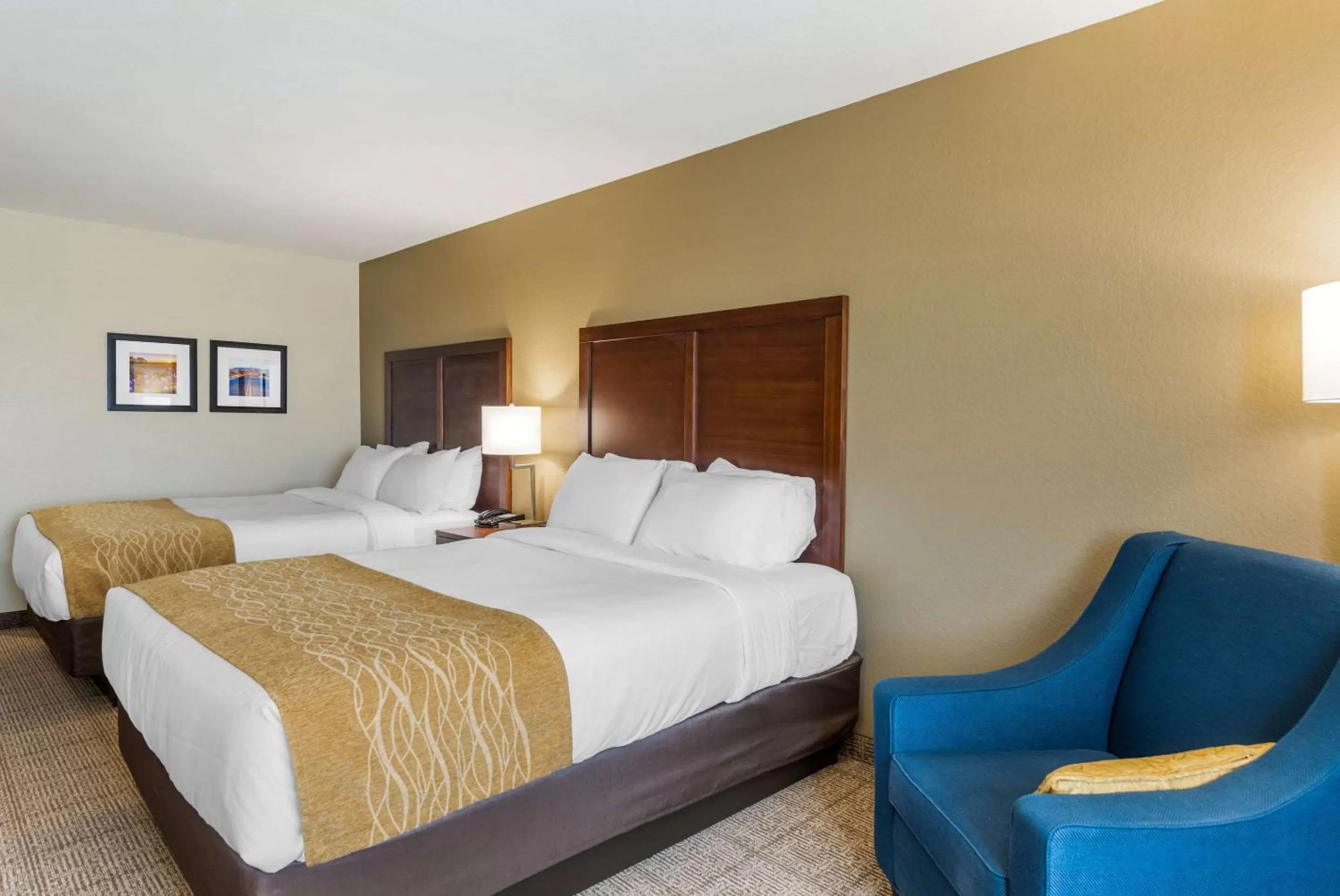 Photo of the whole room, Bed in Comfort Inn & Suites