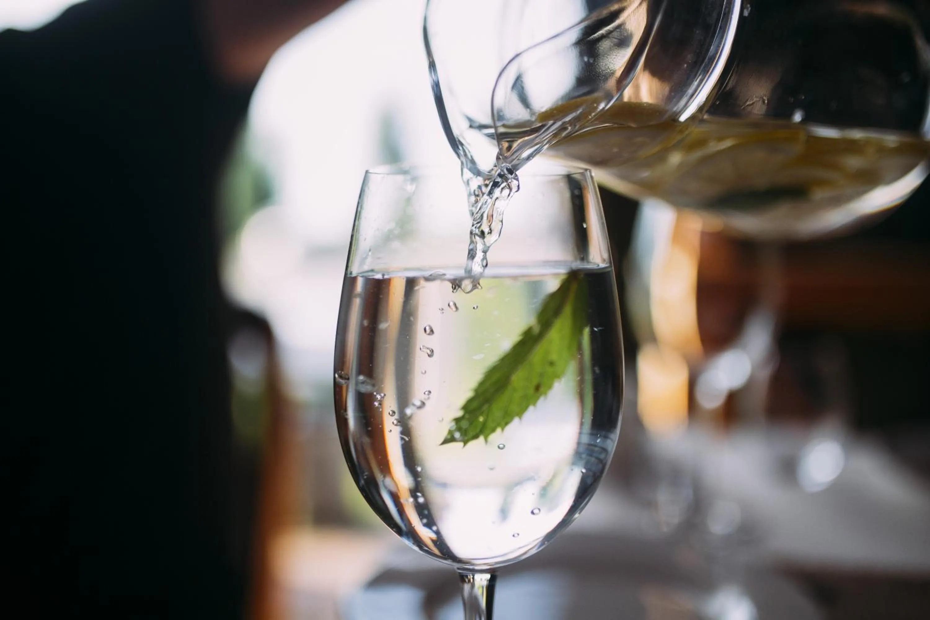 Lounge or bar in Garden City Resort