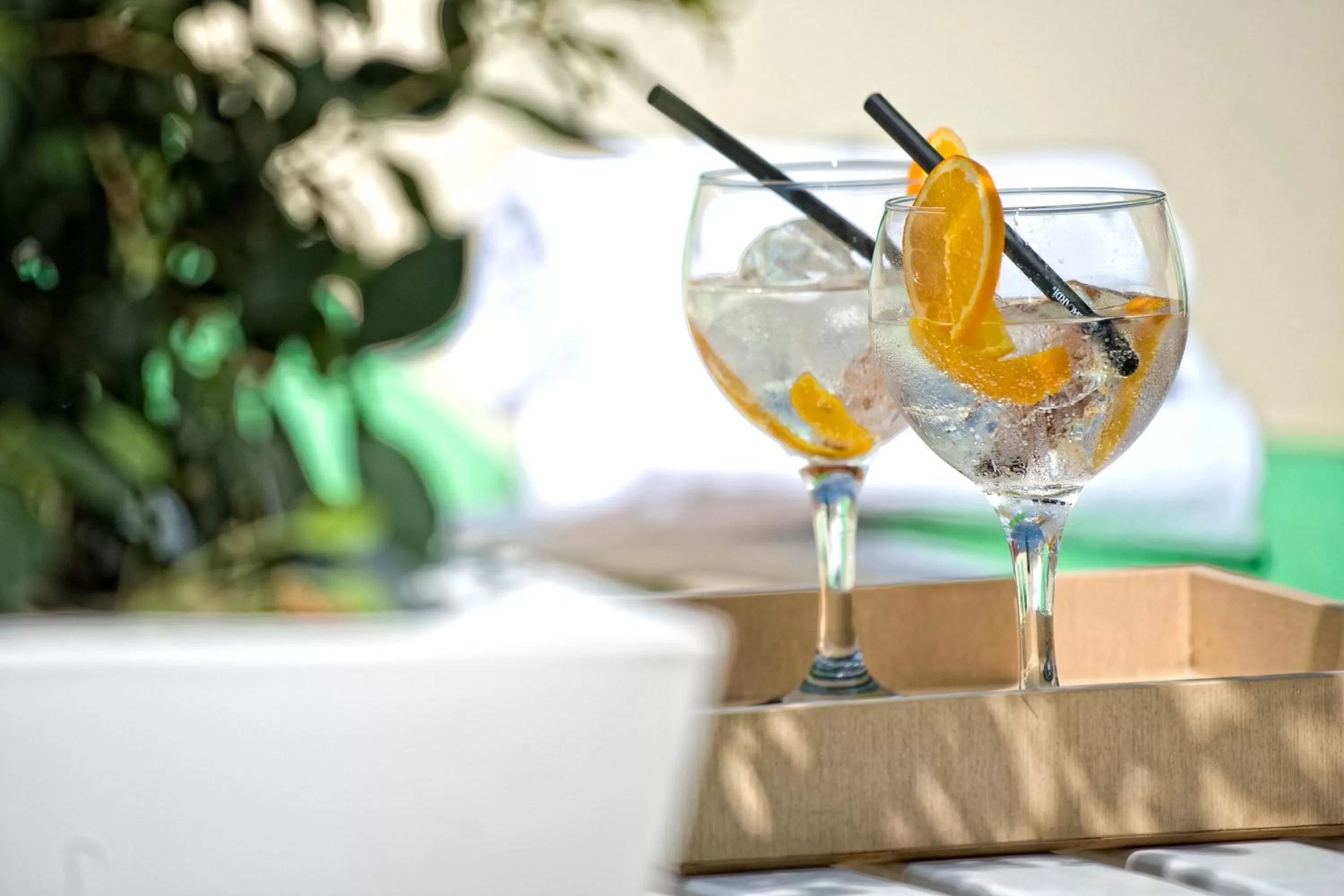 Drinks in Acacia Suite