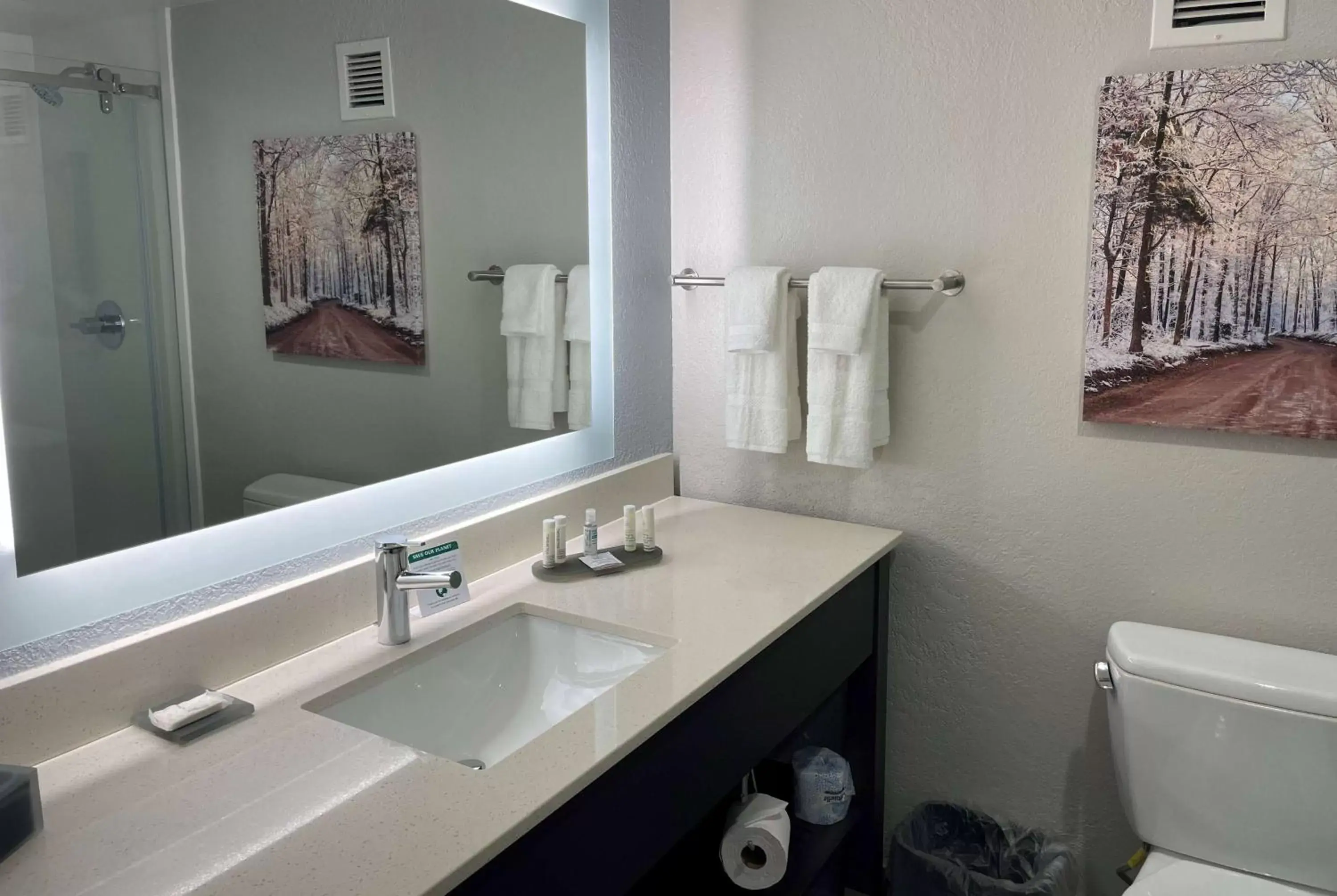 TV and multimedia, Bathroom in La Quinta by Wyndham Jonesboro