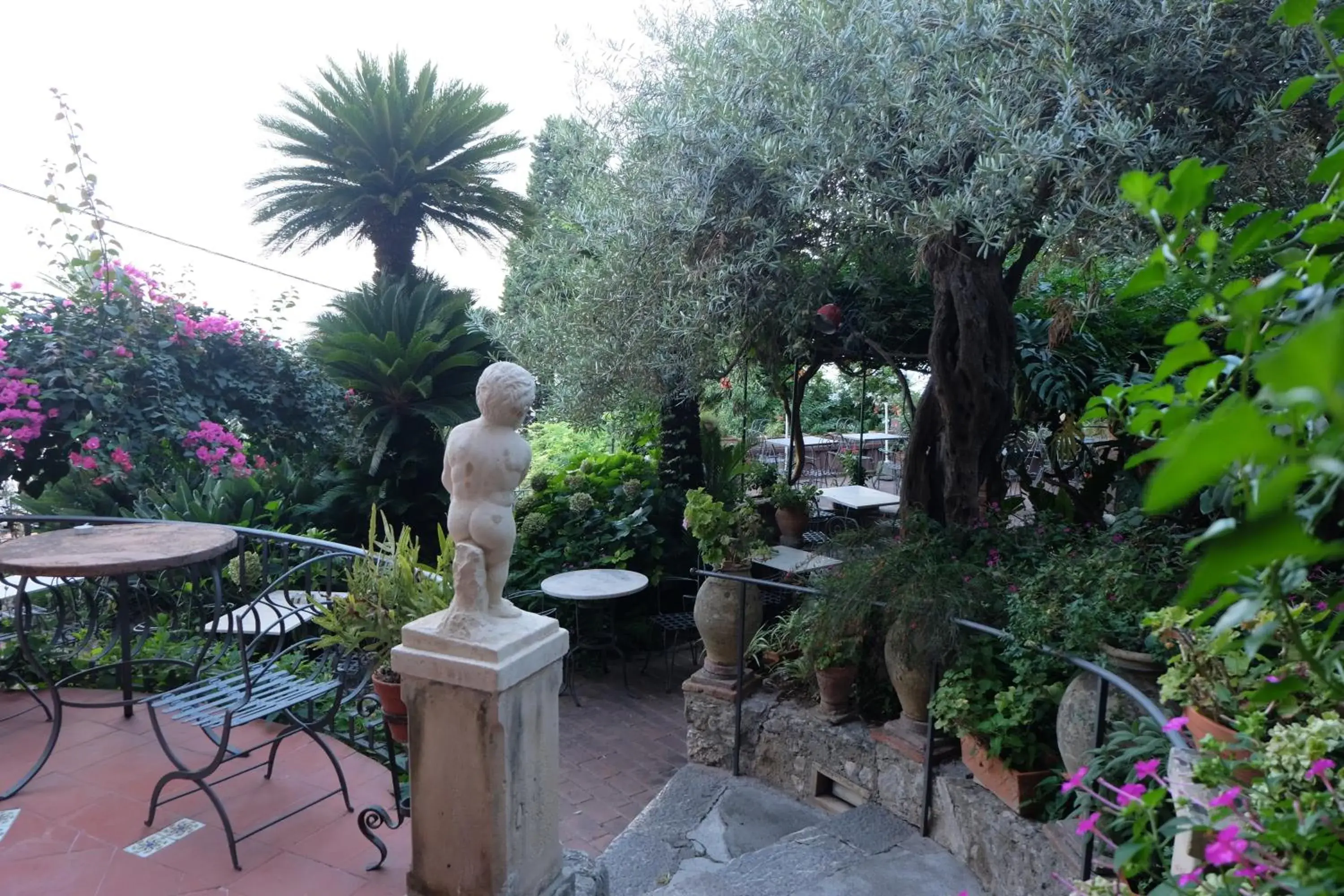 Garden view in Hotel Villa Nettuno