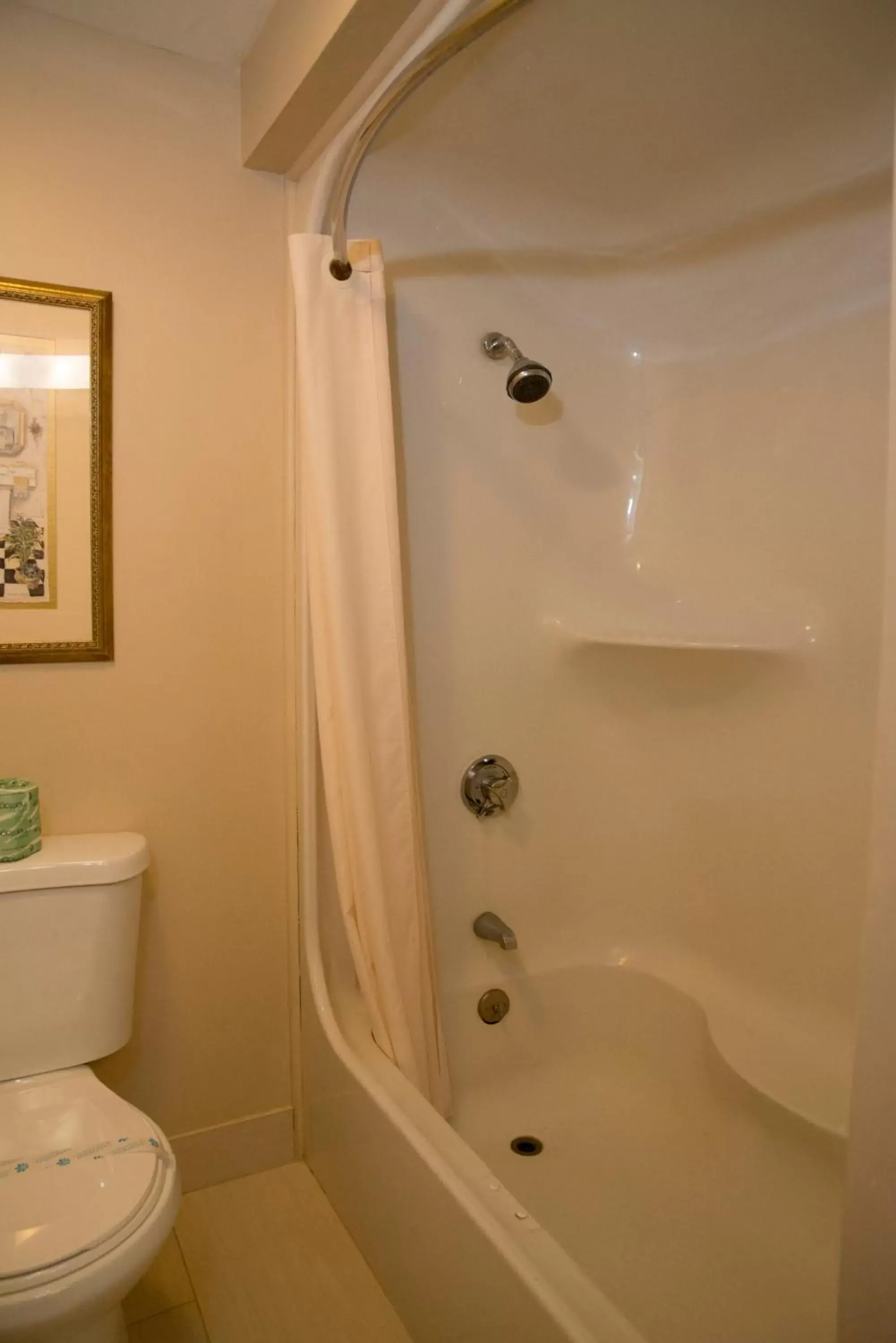 Shower, Bathroom in Hampton Falls Inn