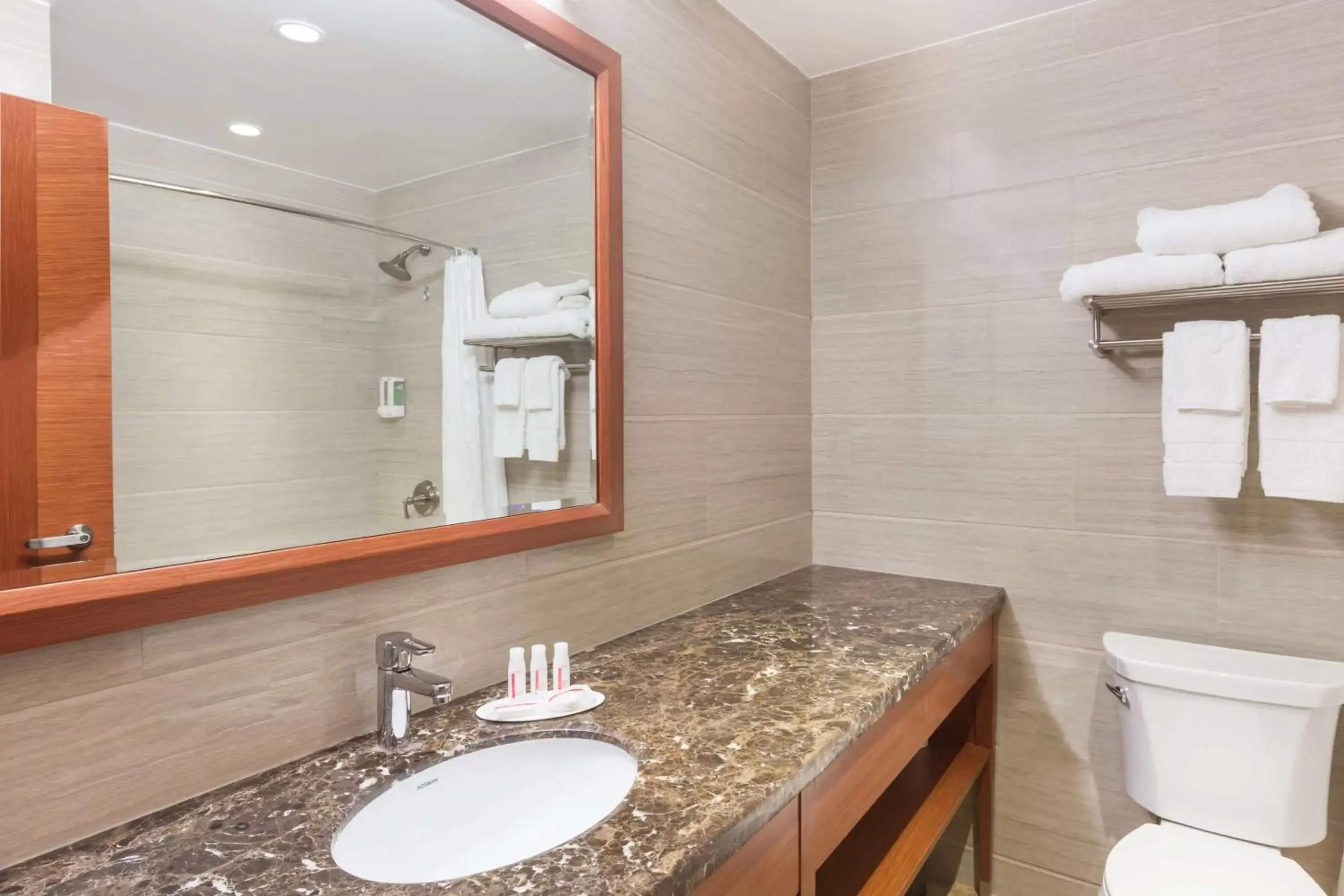 Standard Queen Room - Disability Access in Ramada by Wyndham Flushing Queens