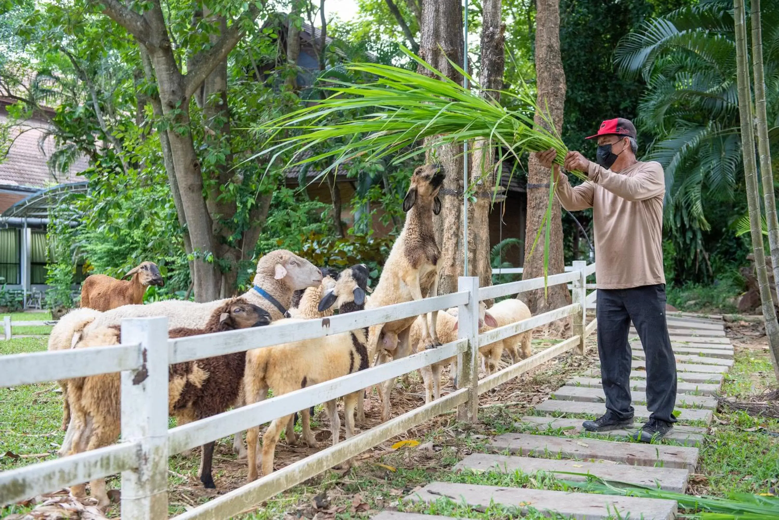 Activities in The Legacy River Kwai Resort