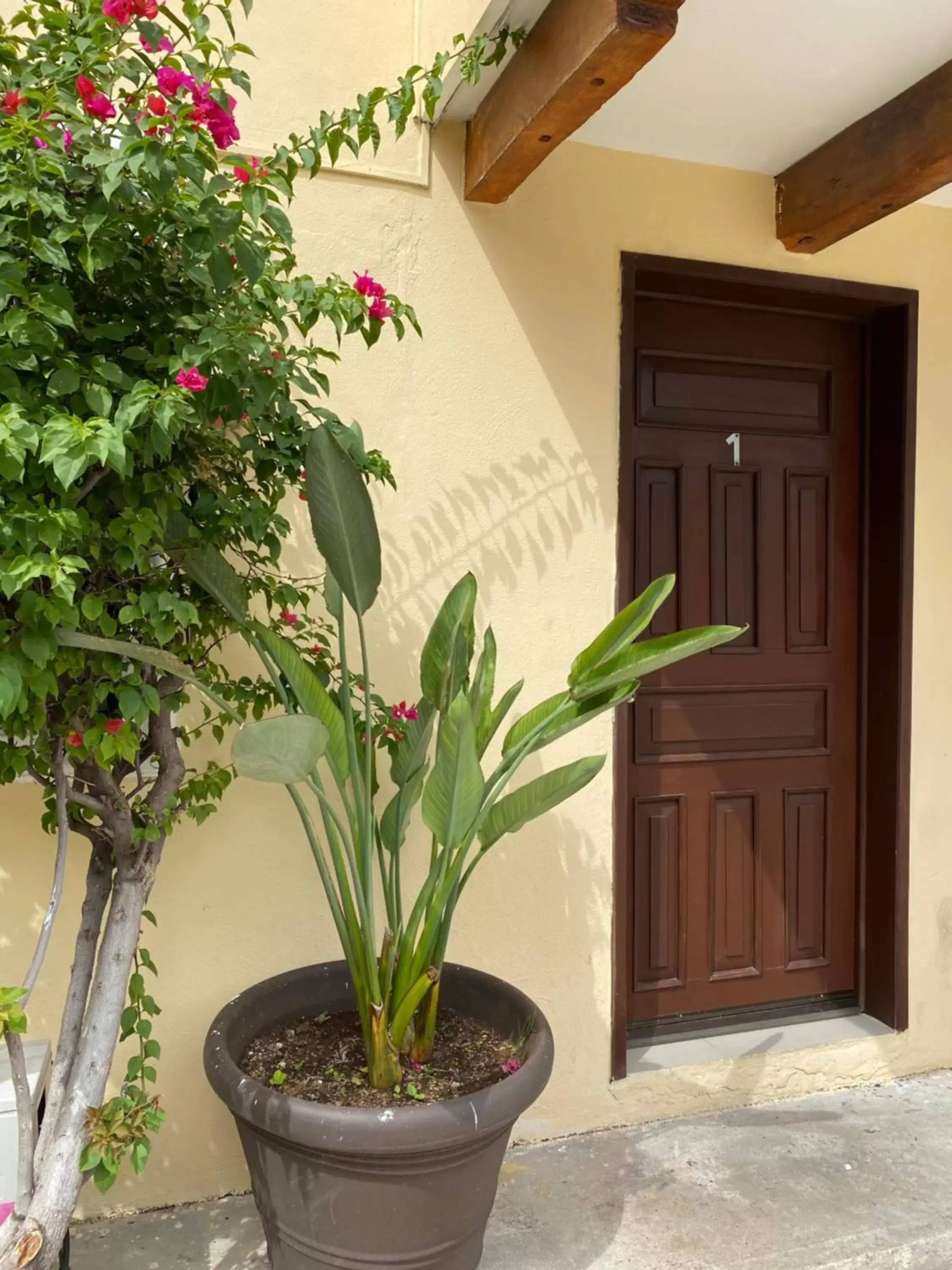 Facade/entrance in Hotel El Campanario Playa del Carmen Facade/entrance in Hotel El Campanario Playa del Carmen