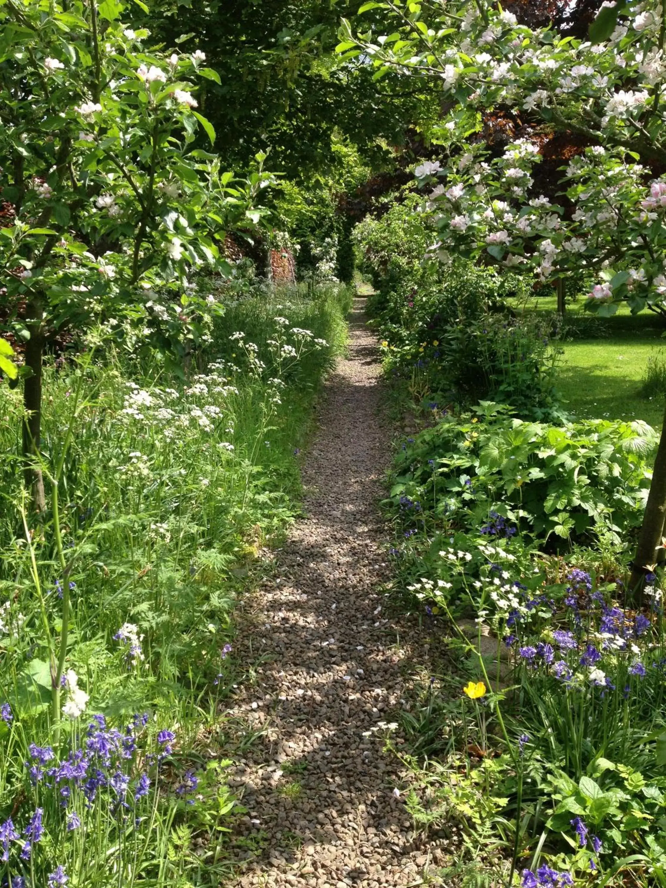 Garden in Ingram House Bed & Breakfast