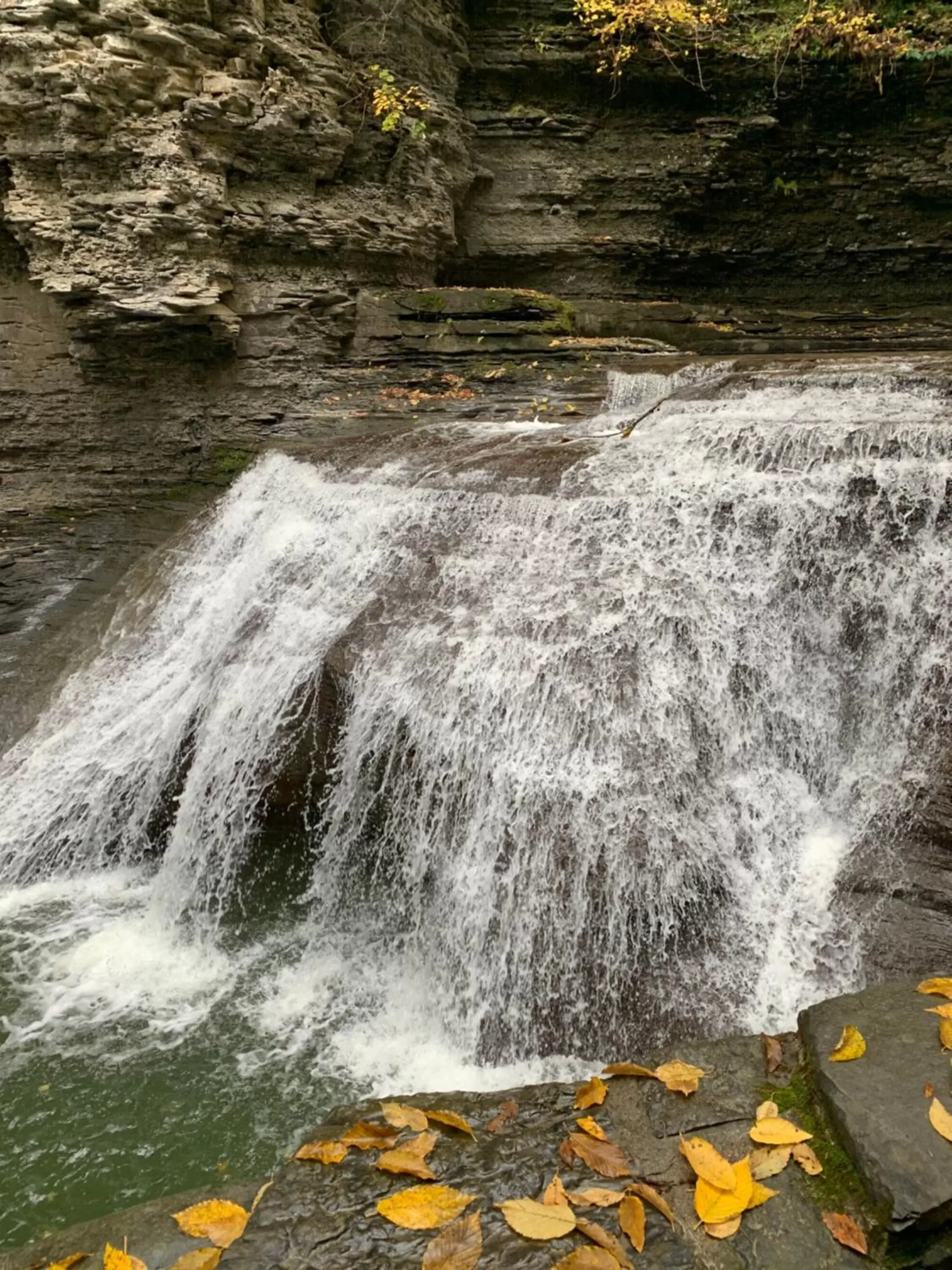 Natural landscape in Country Inn & Suites by Radisson, Ithaca, NY