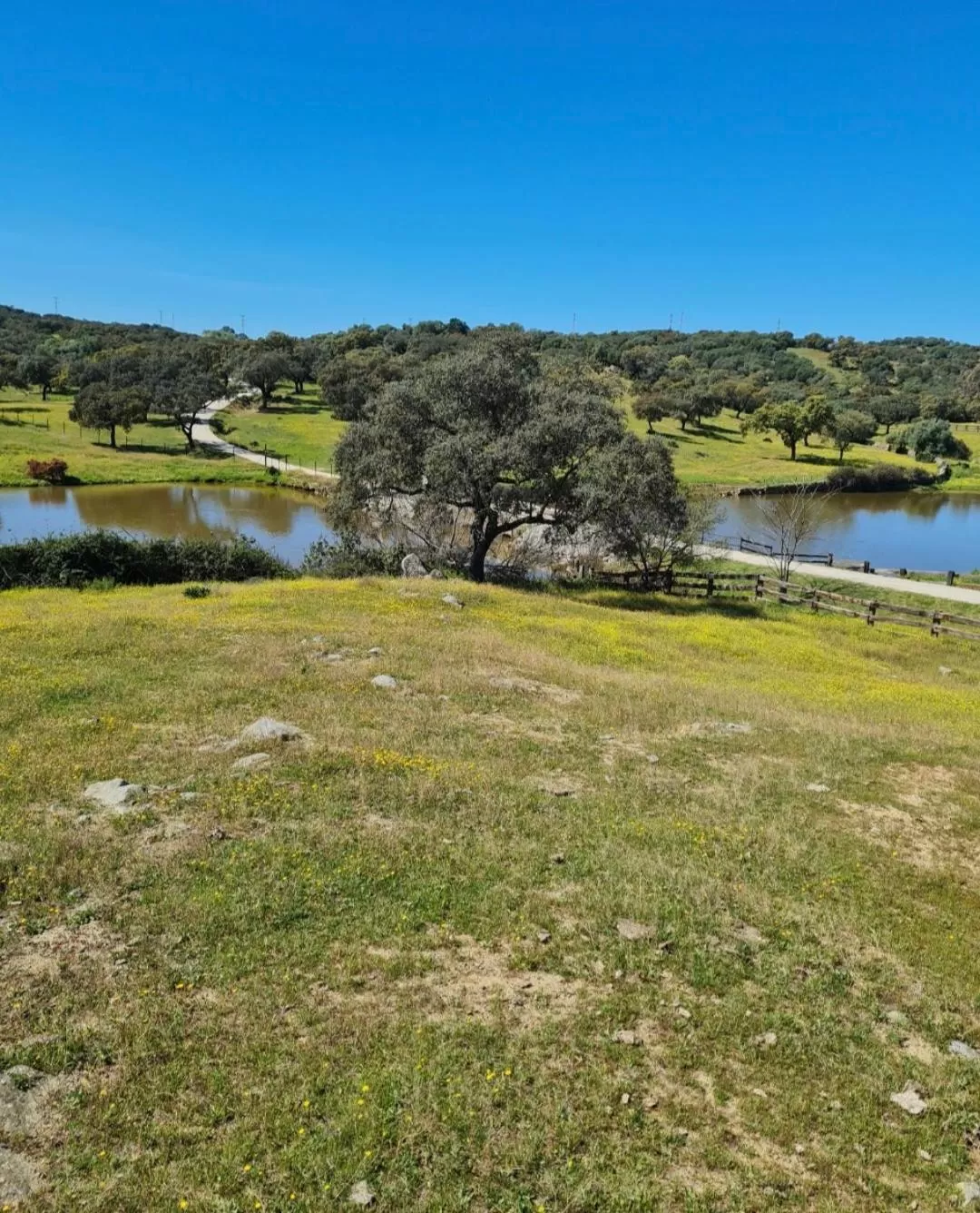 Nearby landmark in Alojamiento Rural Finca Barral