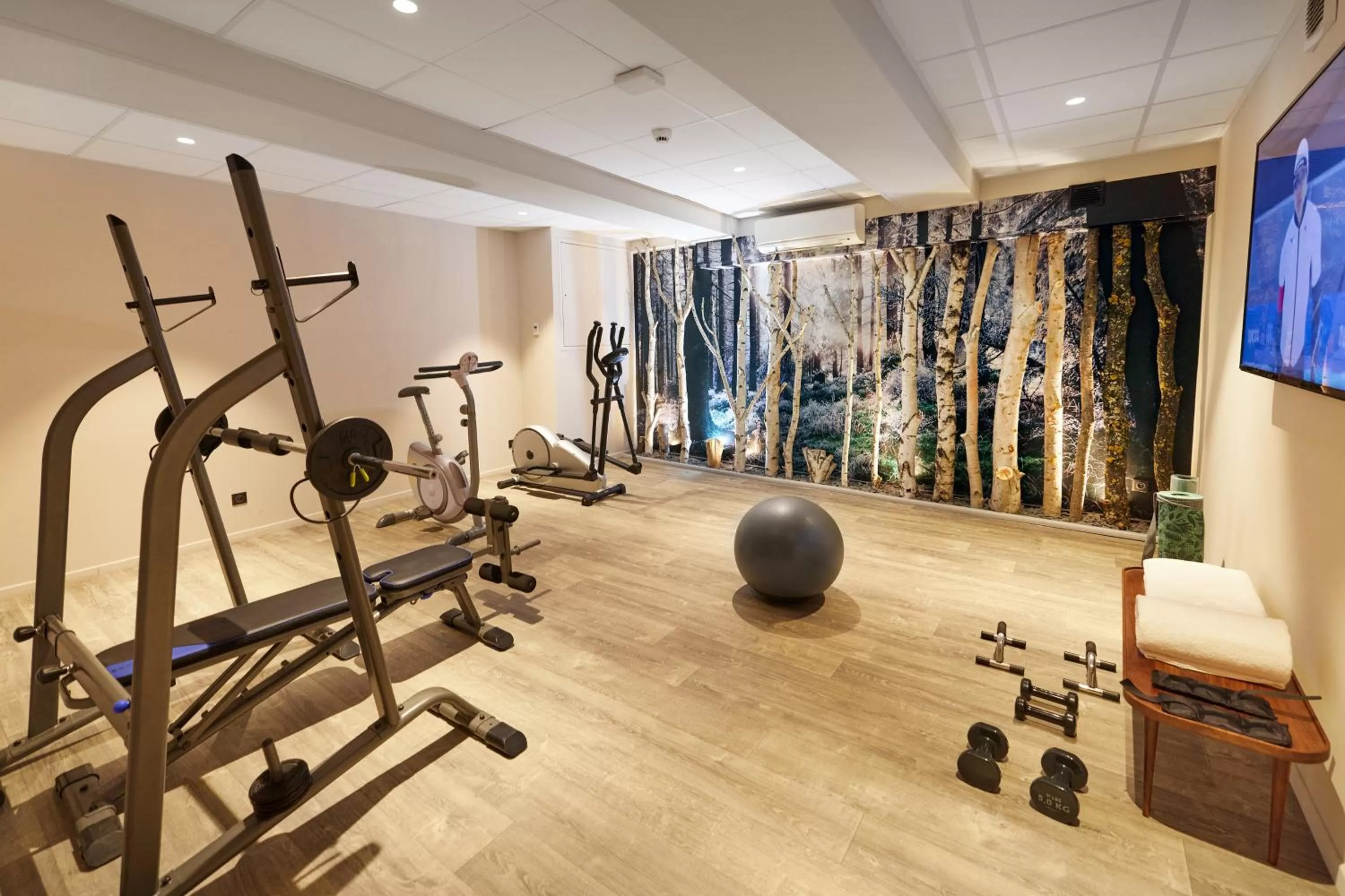Fitness centre/facilities in Hotel Victoria