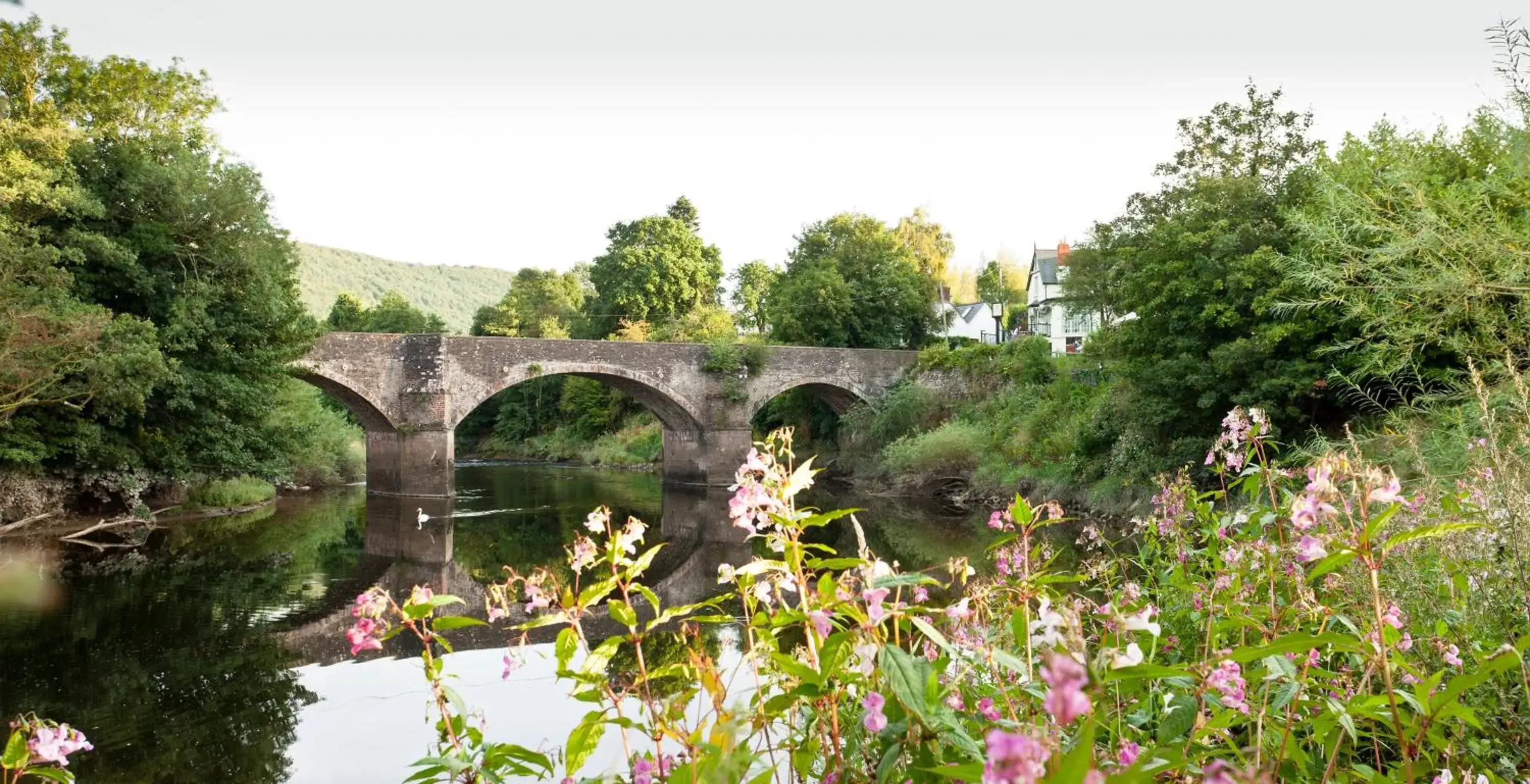 Property building in The Newbridge on Usk