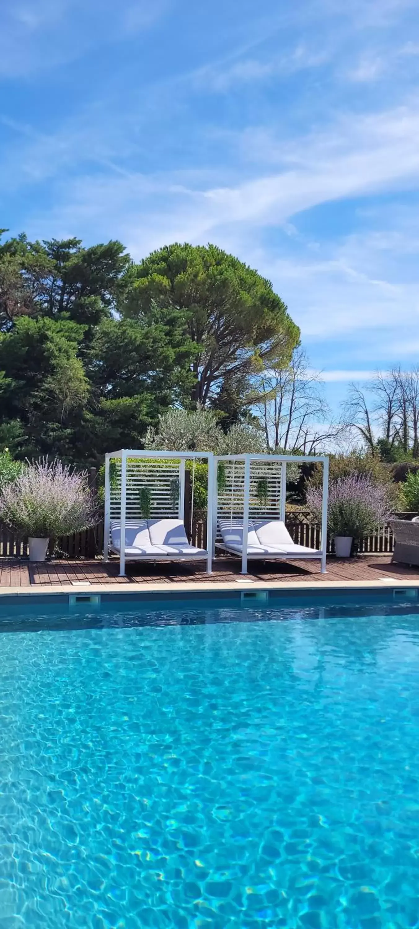 Day, Swimming Pool in Villa Liberty