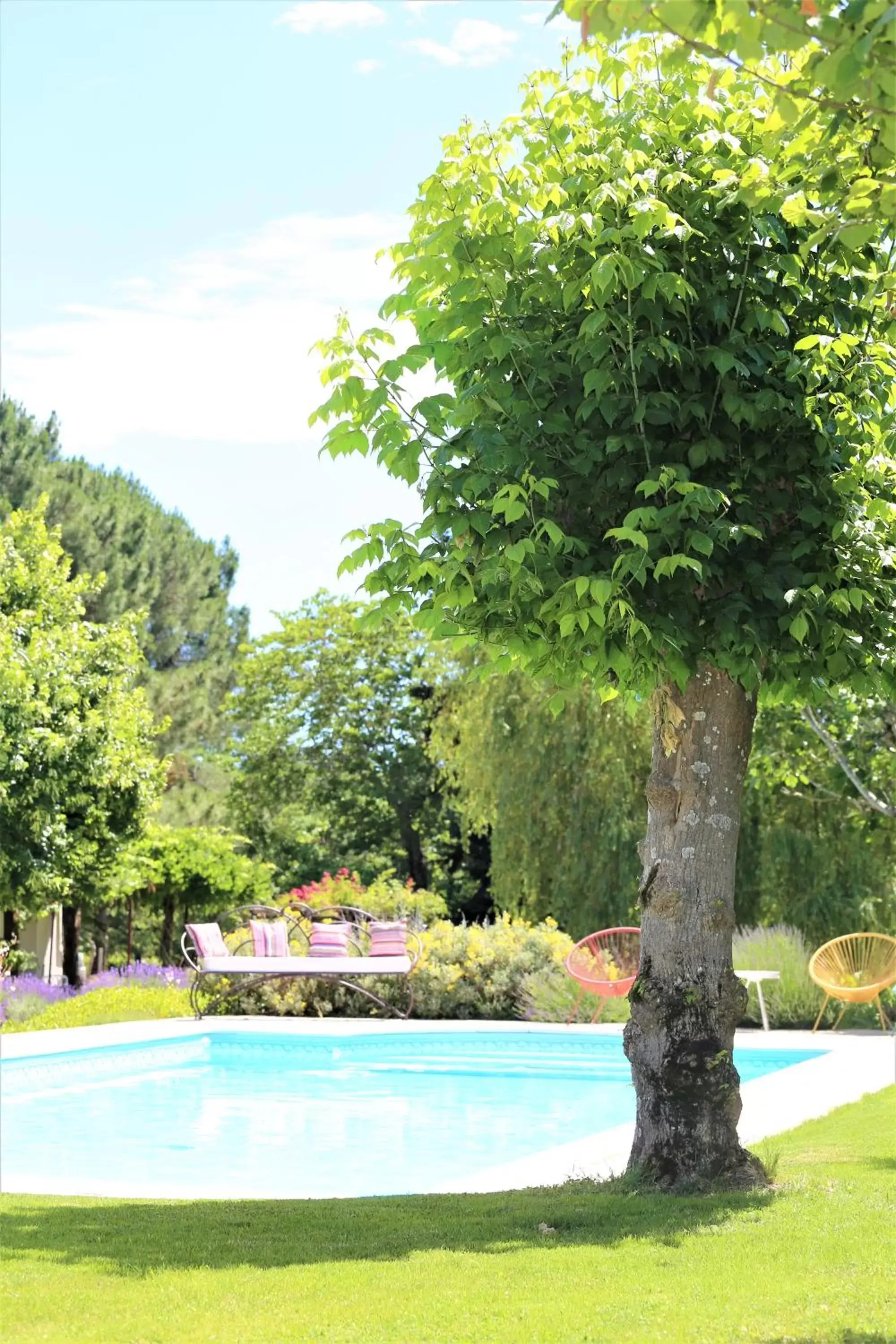 Garden, Swimming Pool in Au Do'Mayne des Bouilles - Spa & Piscine