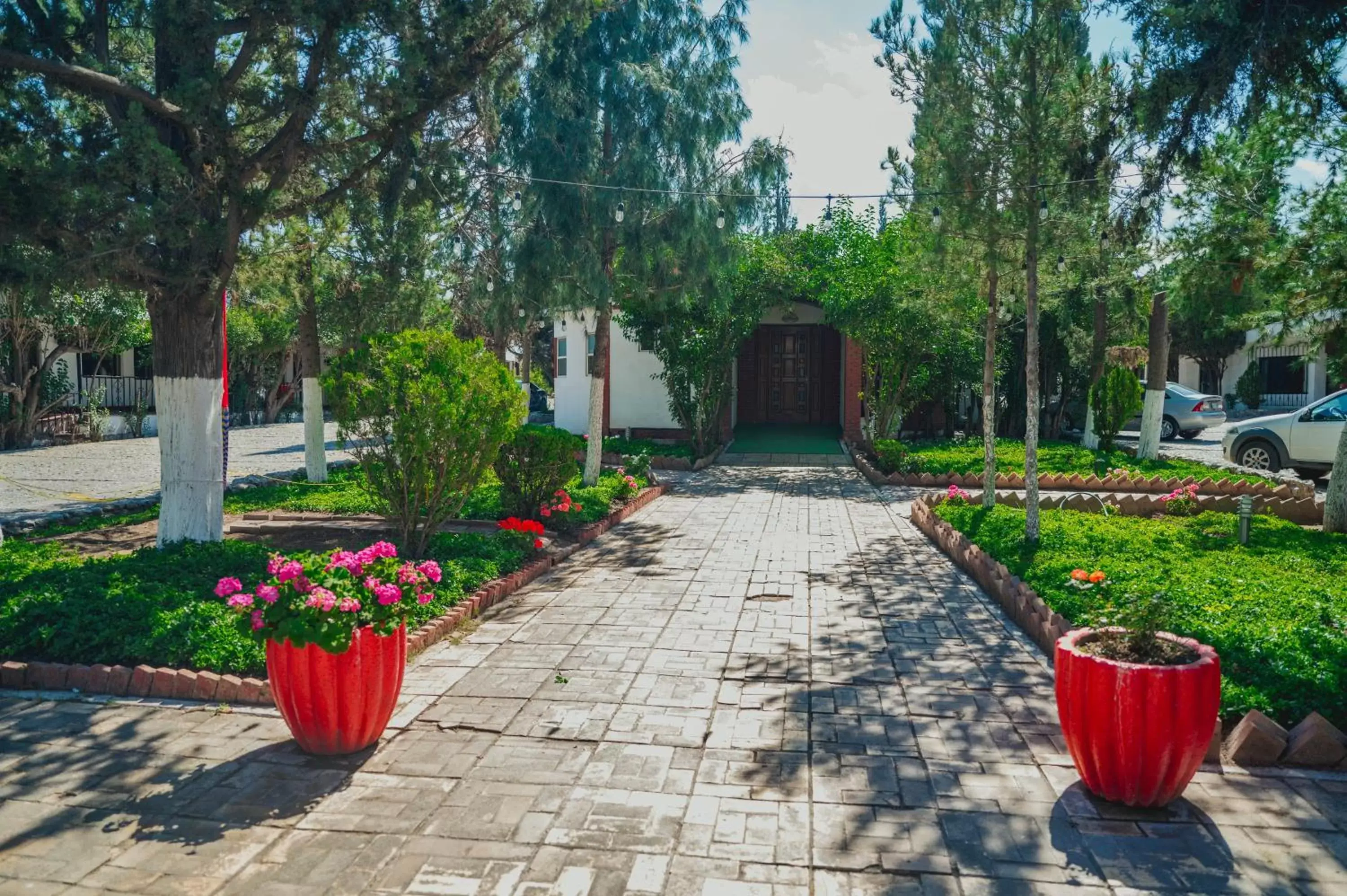 Garden in Hotel La Fuente, Saltillo