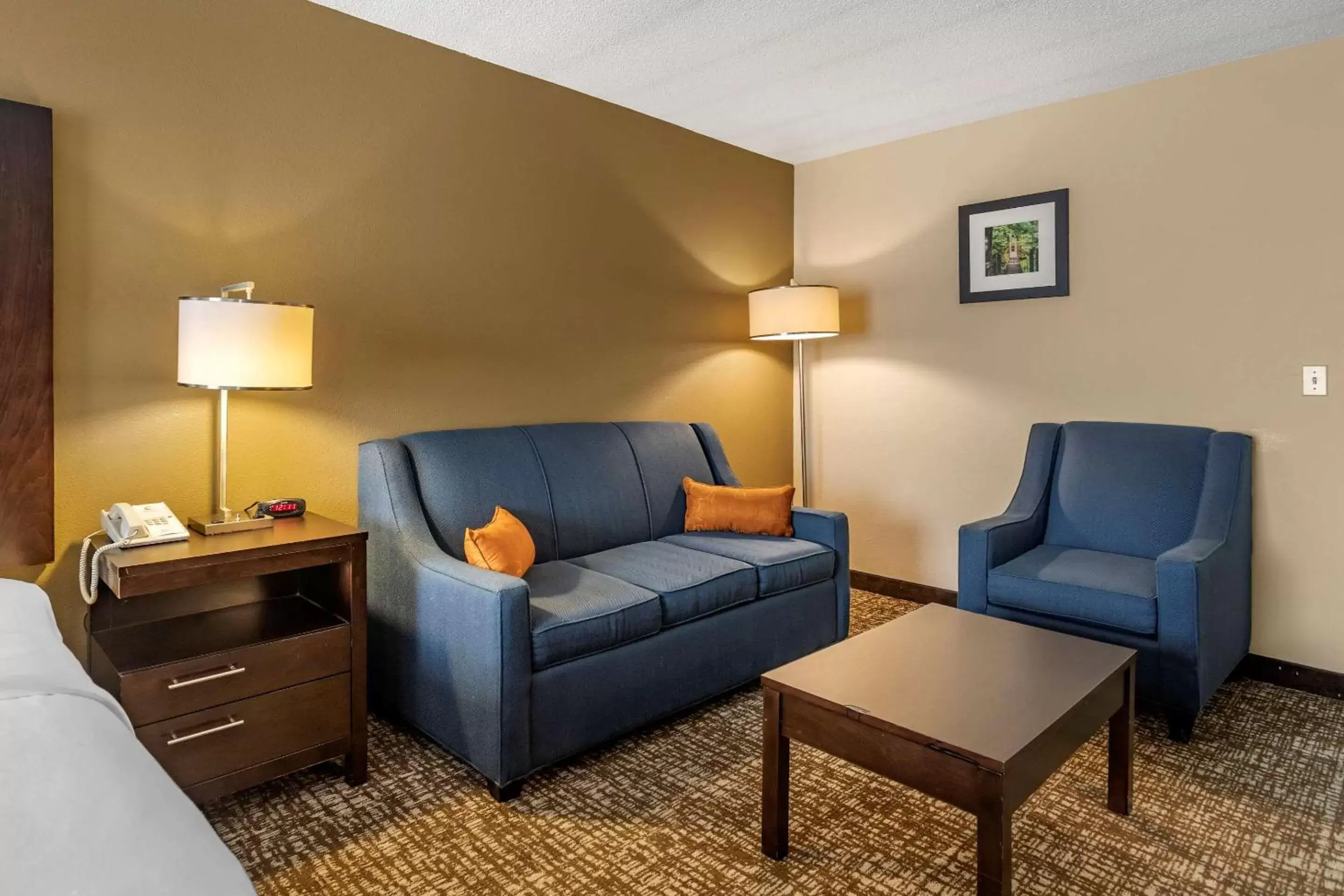 Photo of the whole room, Seating Area in Comfort Inn Paducah I-24