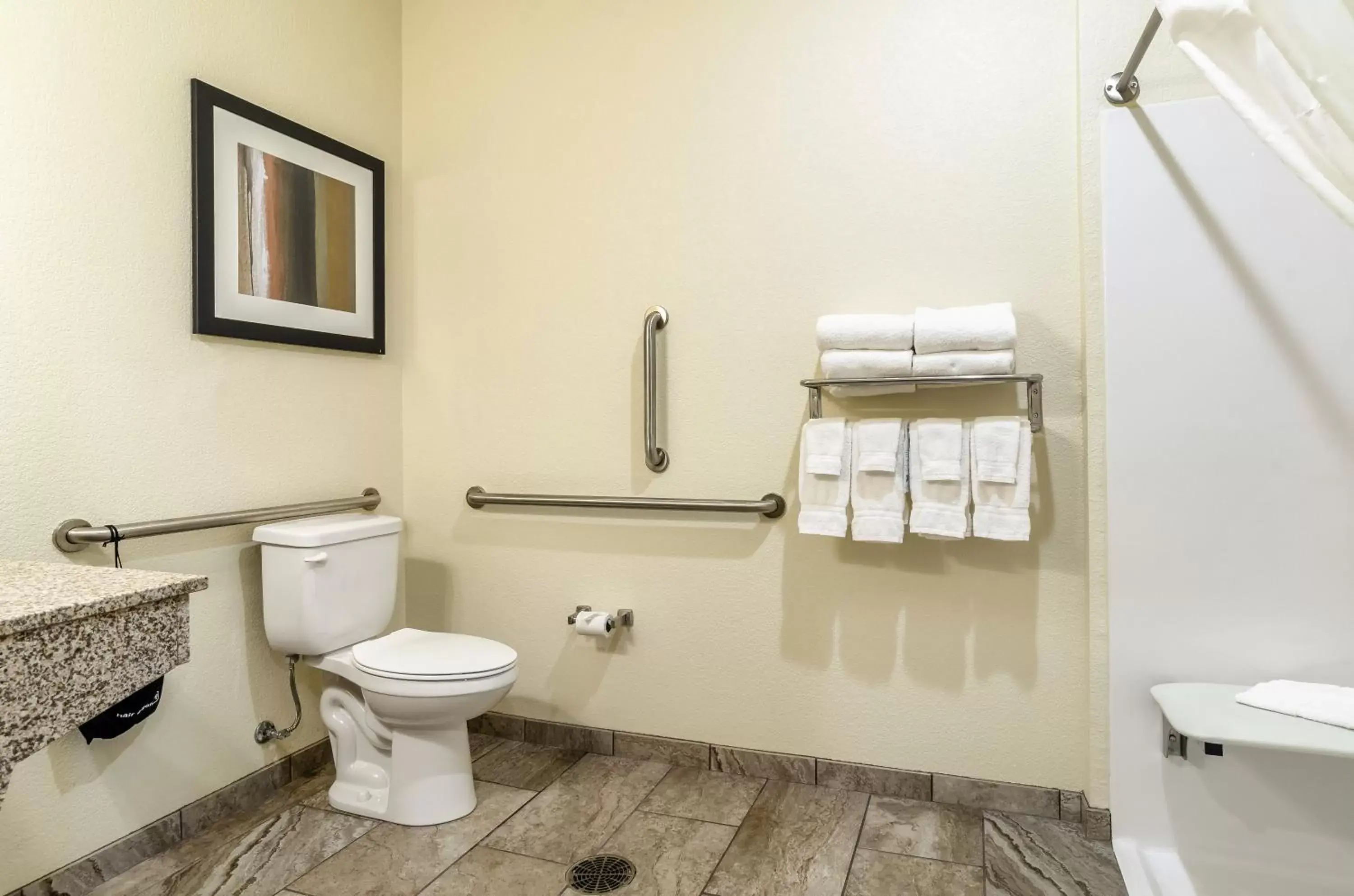 Toilet, Bathroom in Cobblestone Inn & Suites - Vinton, LA