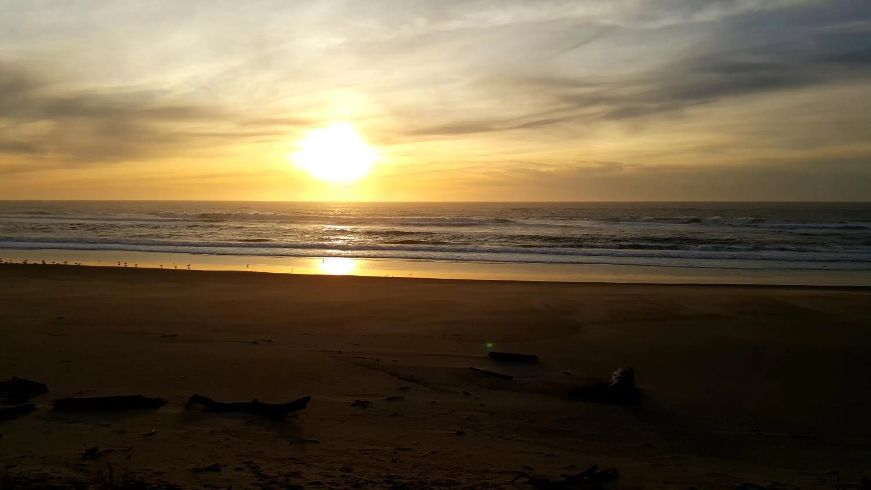 Beach in Winchester Bay Inn