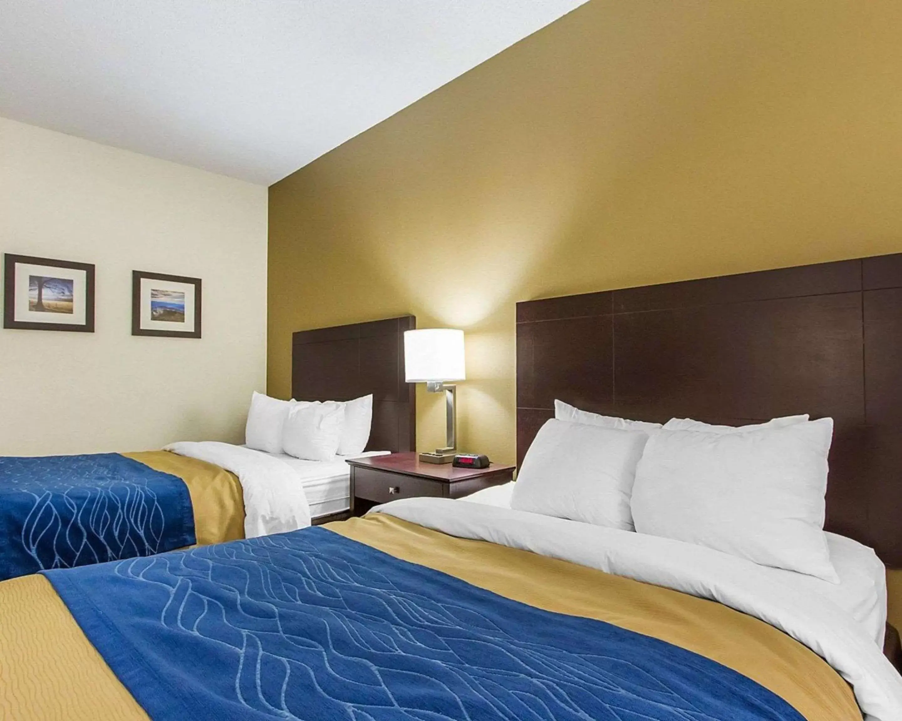 Photo of the whole room, Bed in Quality Inn