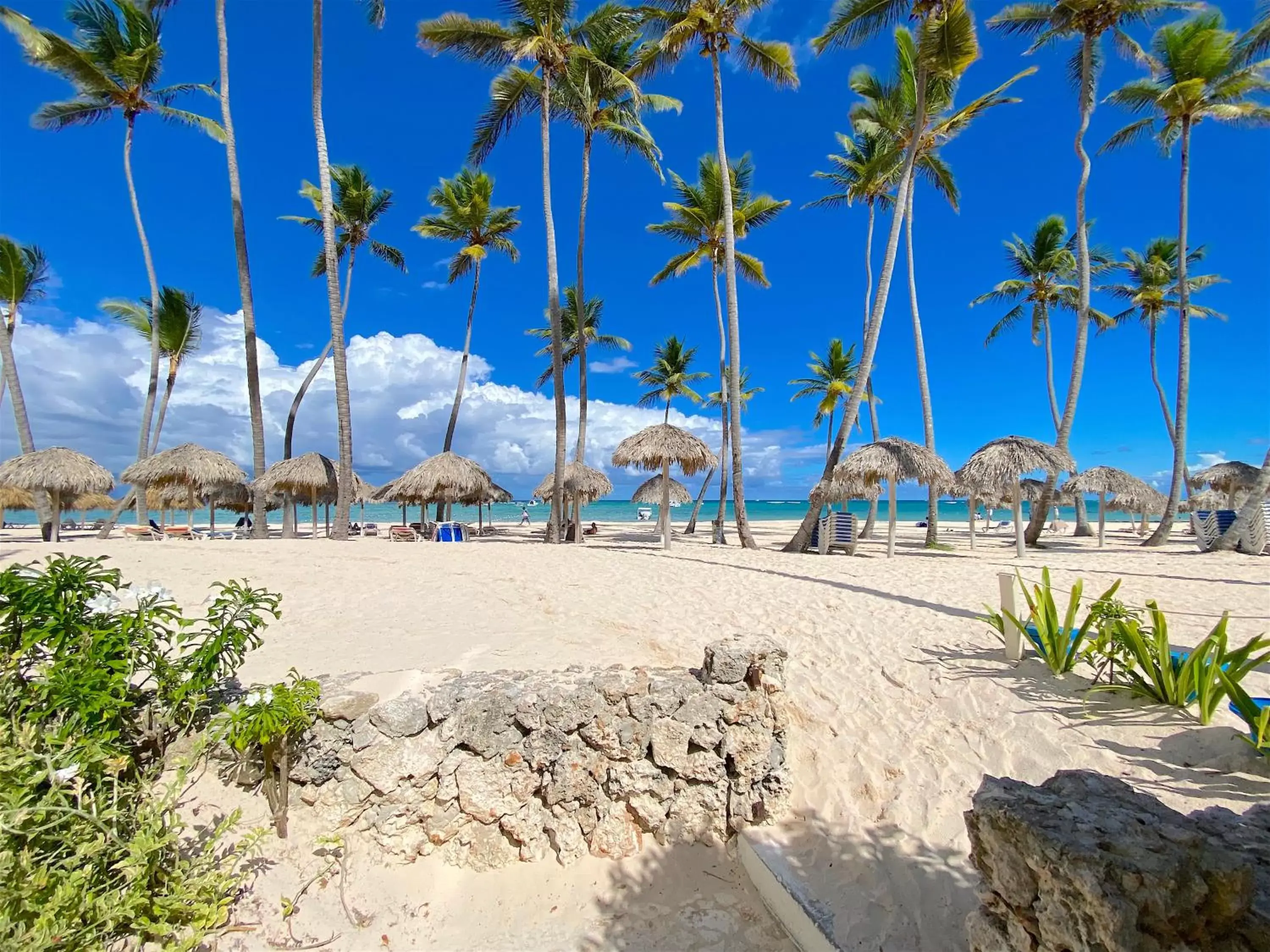 Beach in LOS CORALES VILLAS and SUITES - BEACH CLUB, SPA, RESTAURANTS