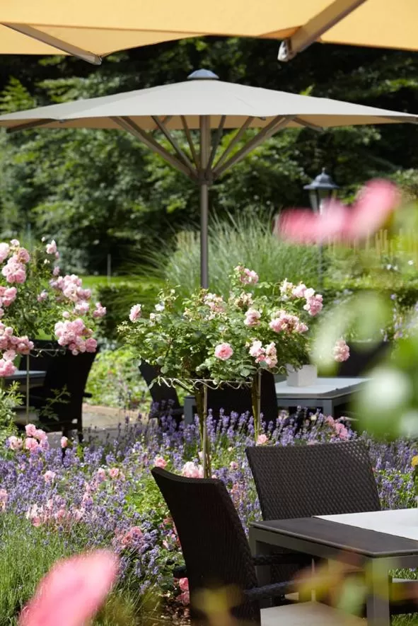 Restaurant/places to eat in Forsthaus Heiligenberg