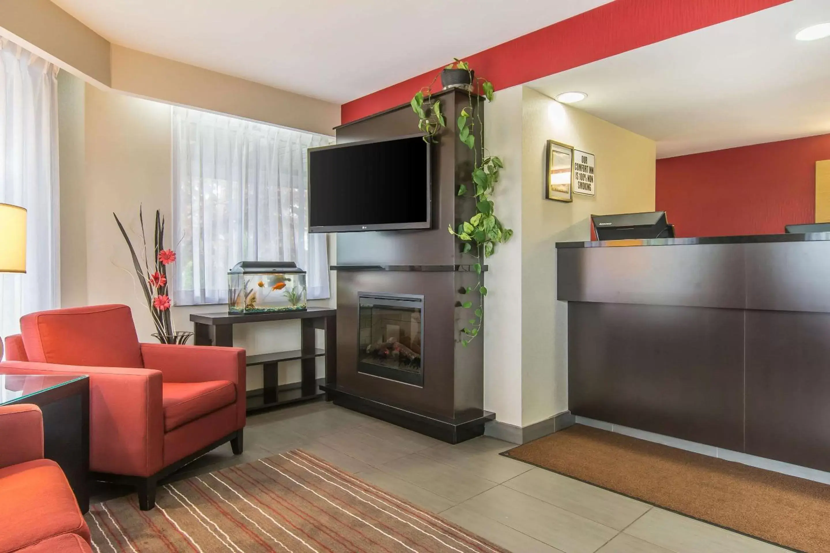 Lobby or reception, TV/Entertainment Center in Comfort Inn Moncton Magnetic Hill