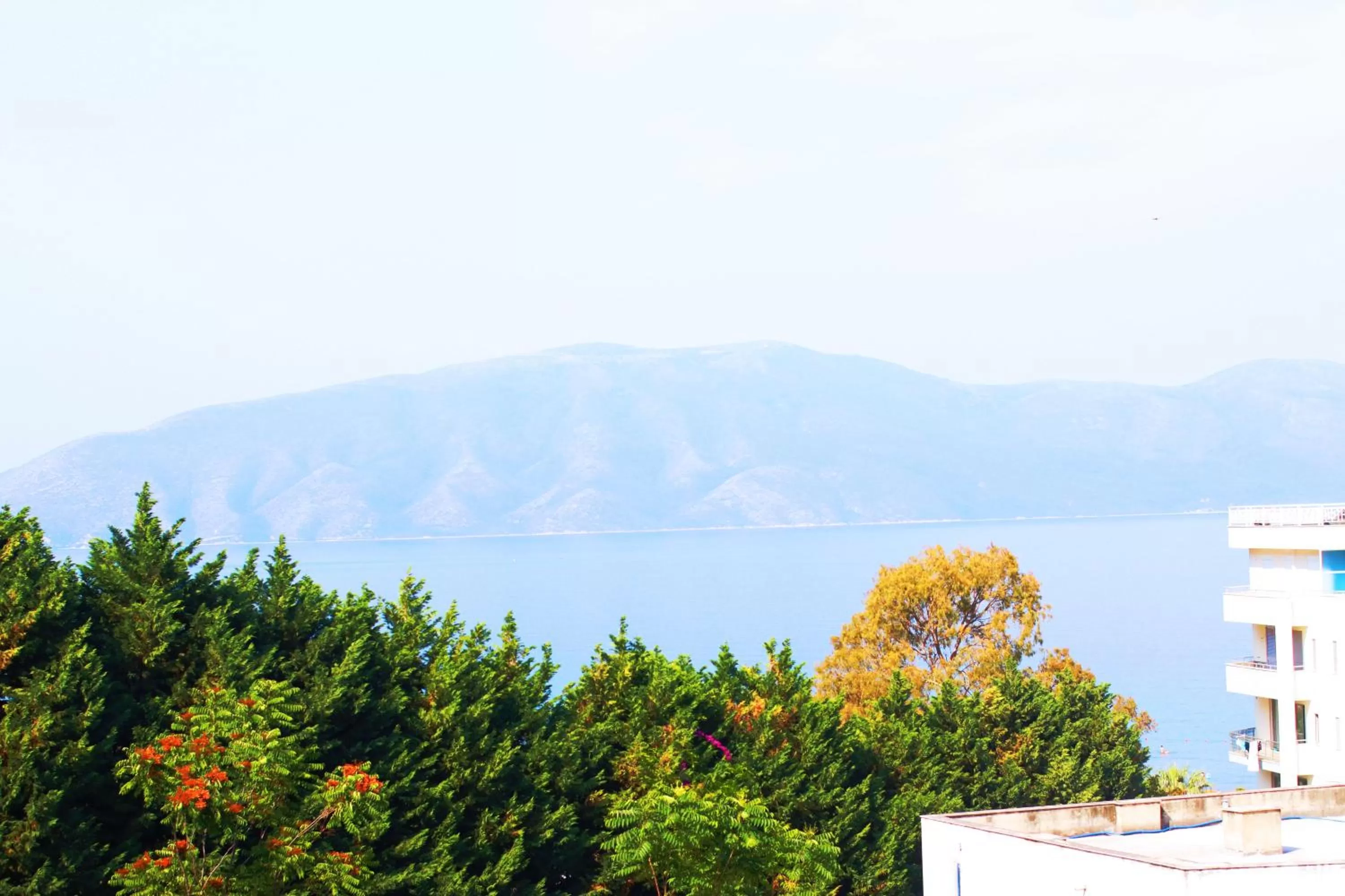 Sea view in HOTEL KRISTAL