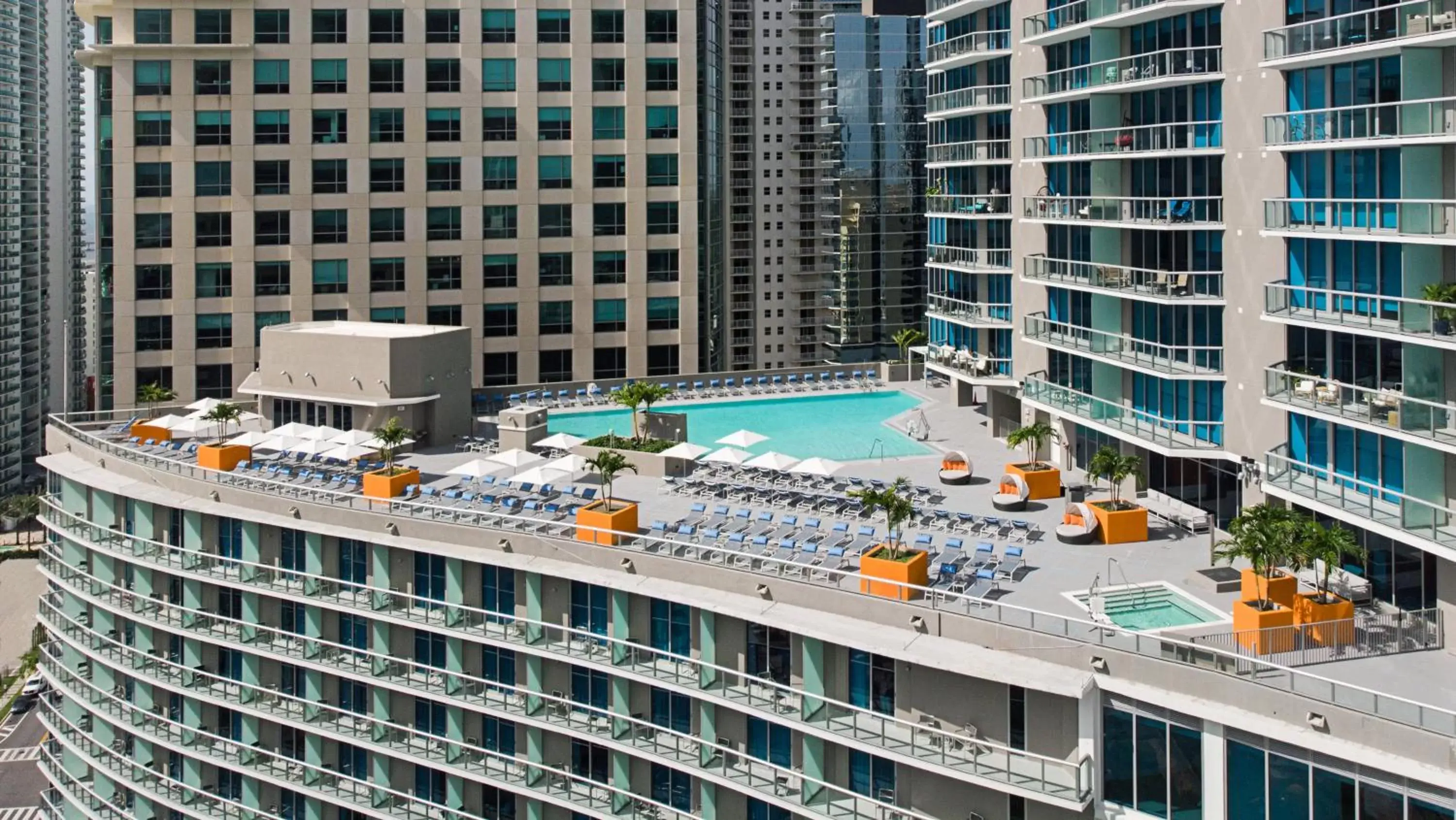 Swimming pool in Hyatt Centric Brickell Miami Swimming pool in Hyatt Centric Brickell Miami