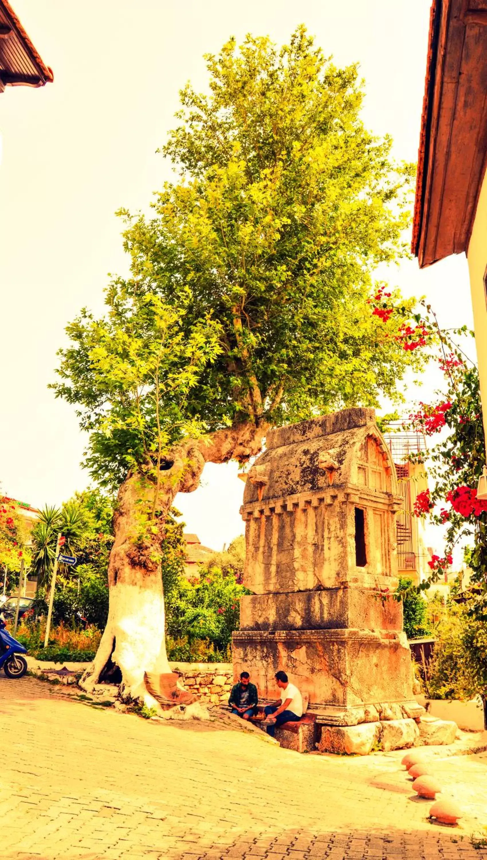 Nearby landmark, Garden in Payam Hotel