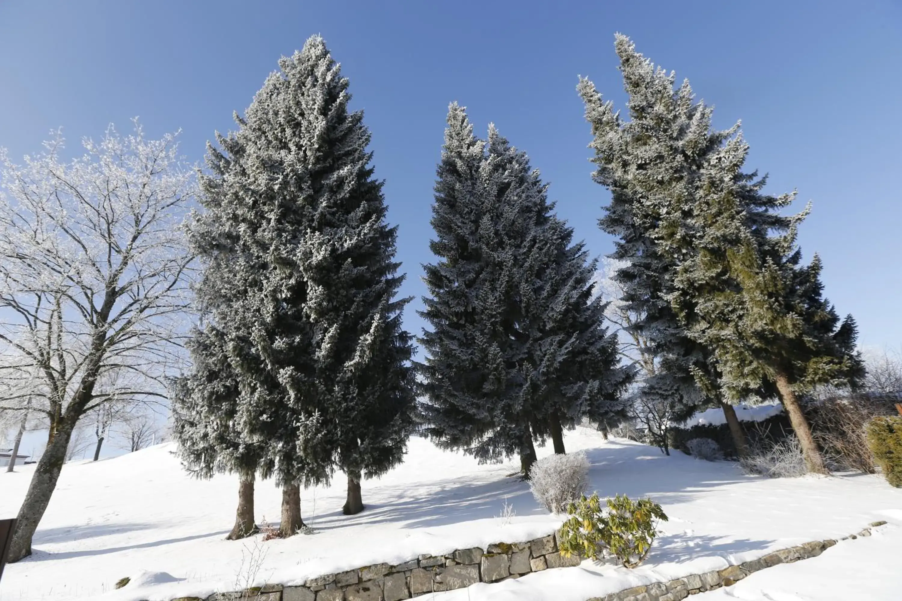 Winter in Landhotel Gottinger