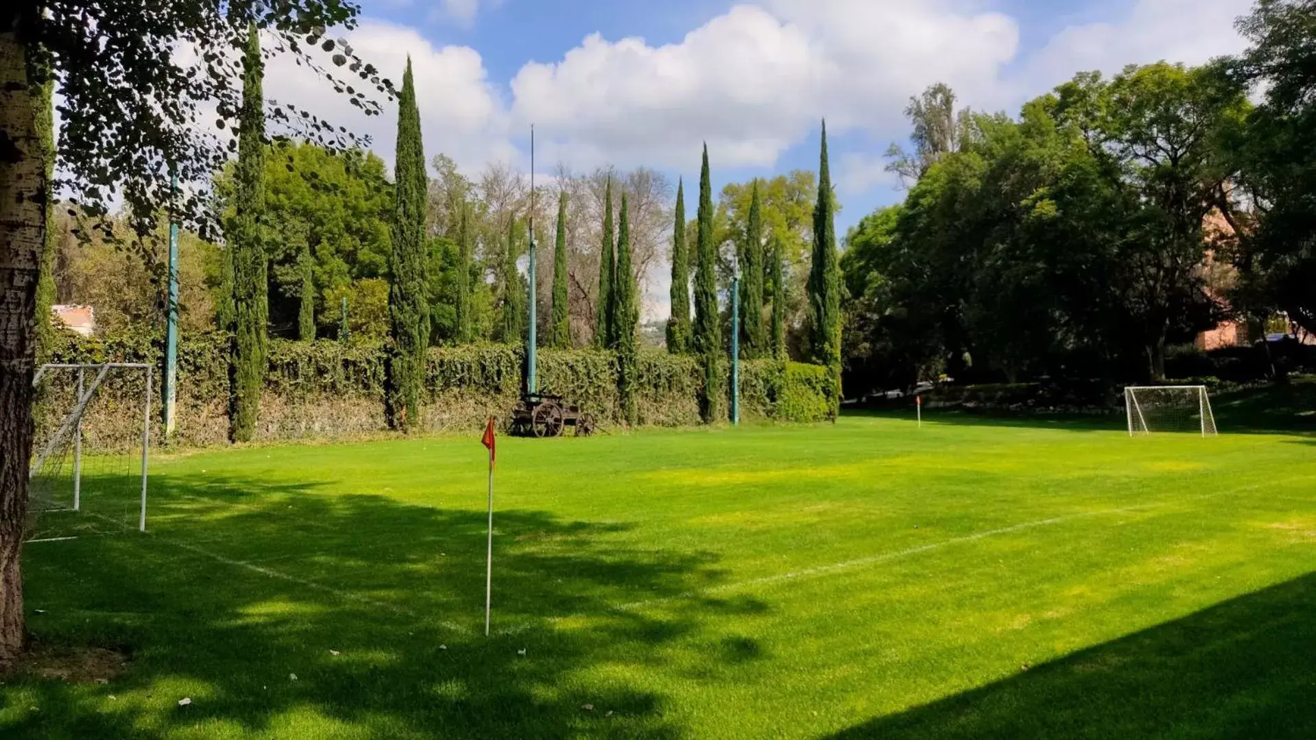 Garden in Hotel Real Home