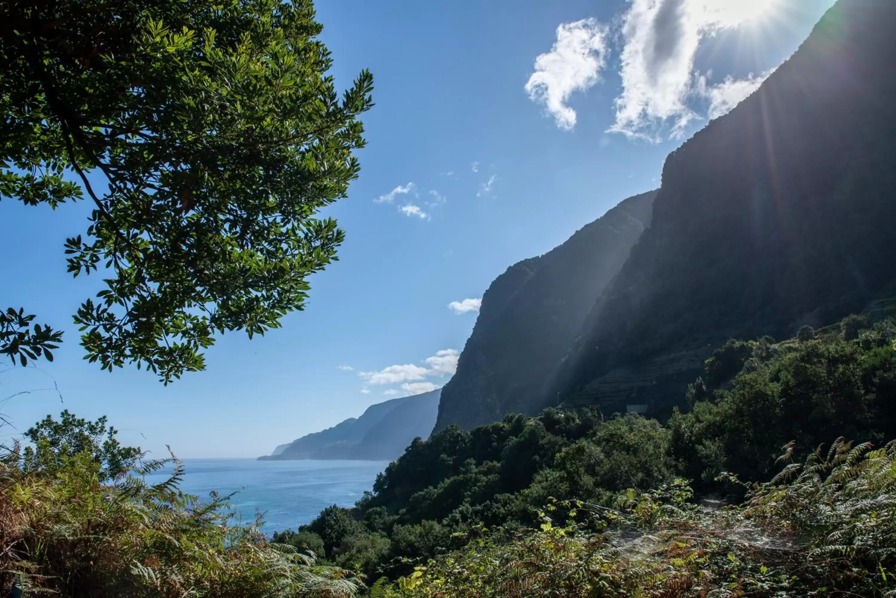 Natural Landscape in Monte Mar Palace Hotel