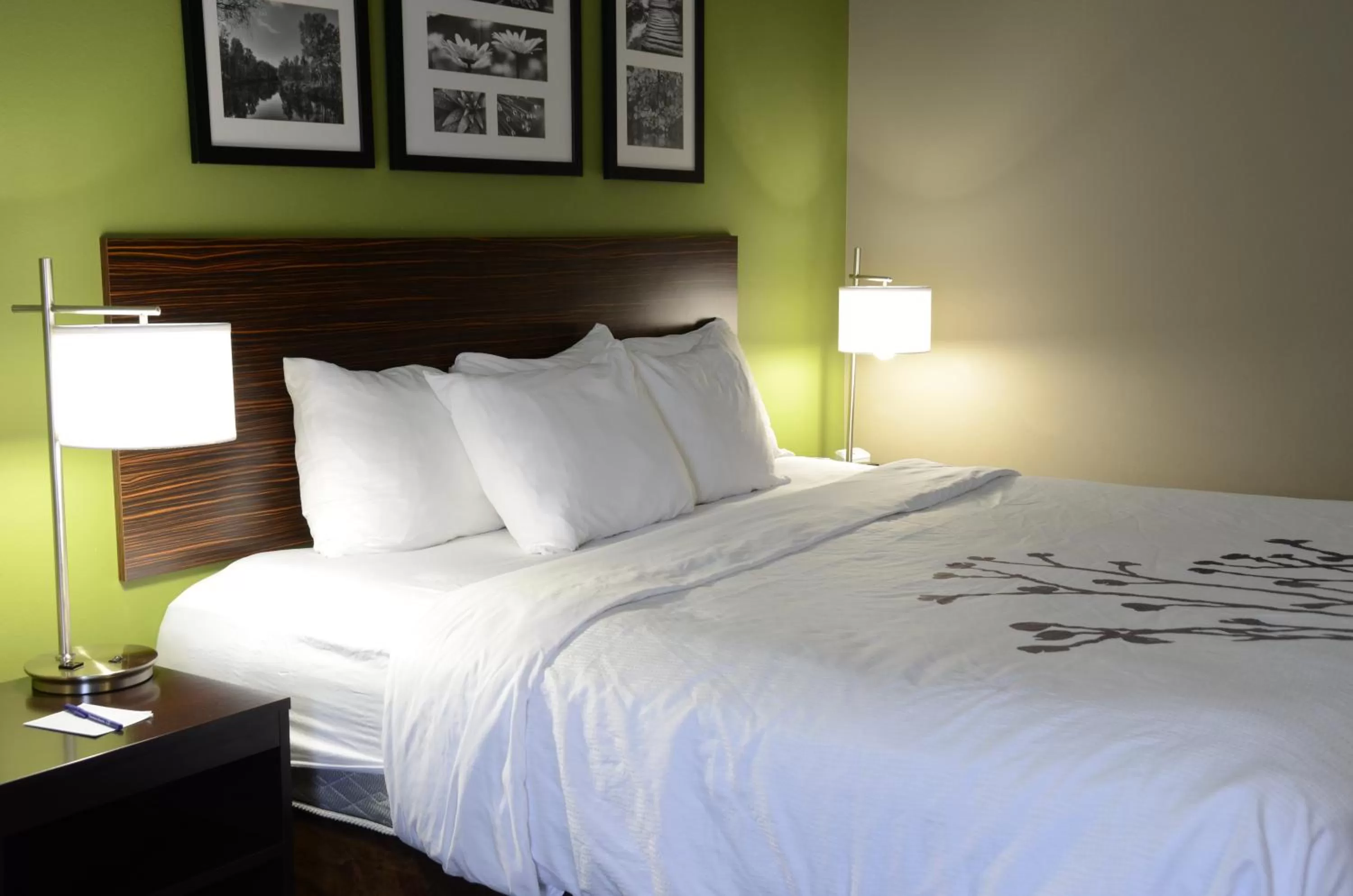 King Suite - Accessible/Non-Smoking in Sleep Inn & Suites Cave City