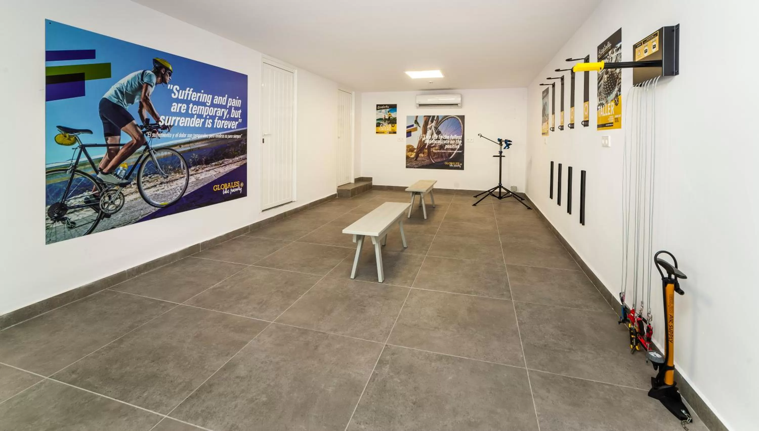 Cycling in Globales Mimosa