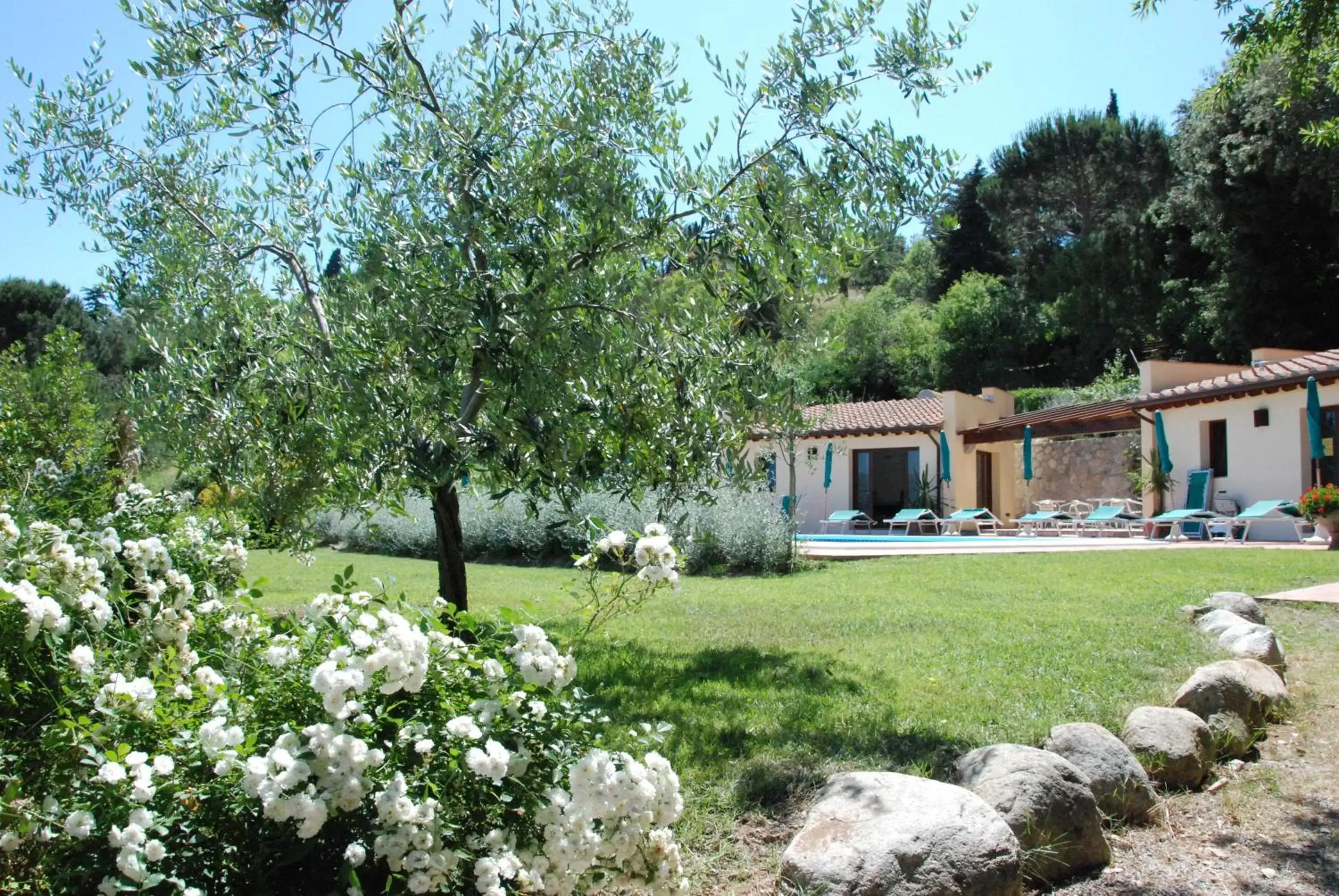 Garden, Property Building in Belvedere Residenza Mediterranea