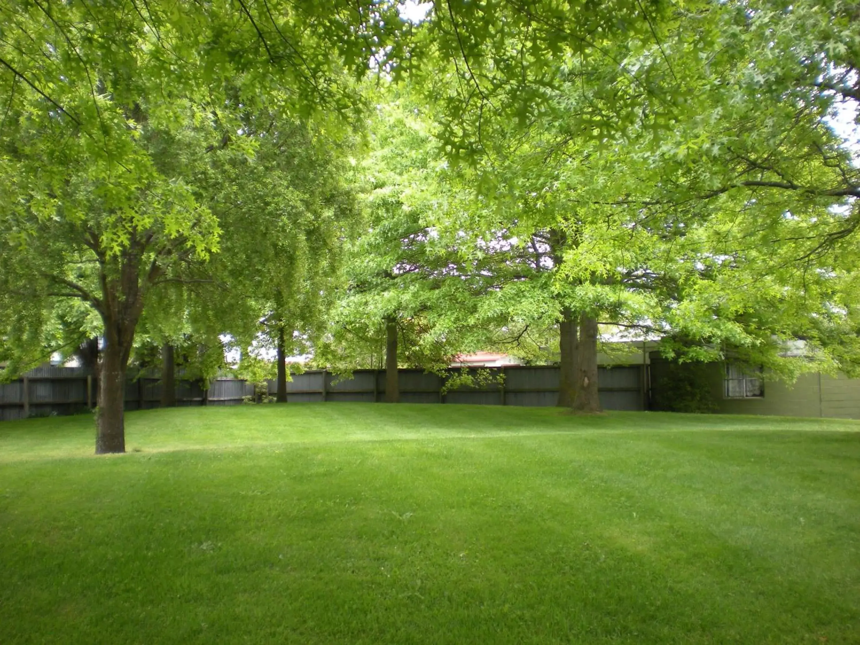 Day, Garden in Christchurch Park Motel