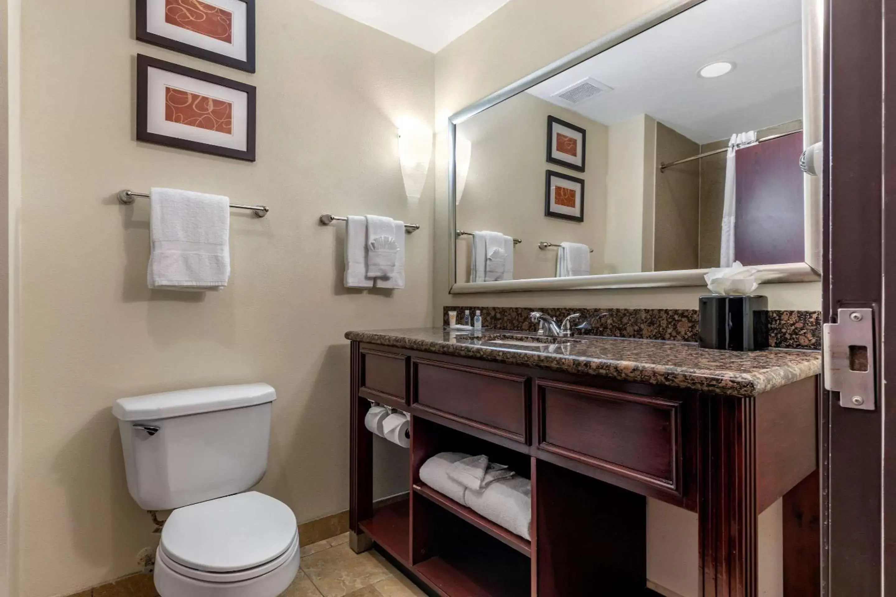 Photo of the whole room, Bathroom in Comfort Suites West Dallas-Cockrell Hill