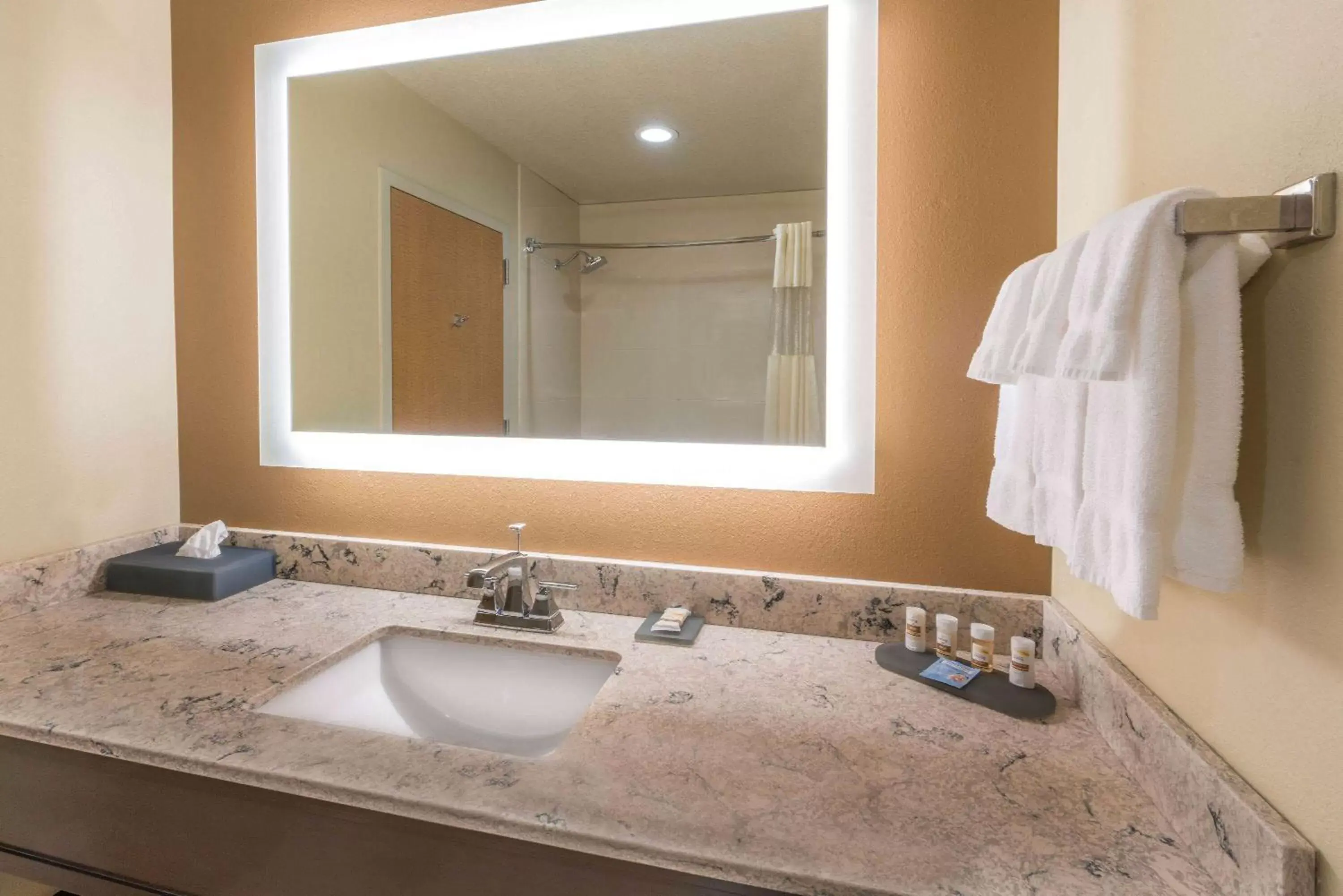 Bathroom in La Quinta by Wyndham Idaho Falls/Ammon