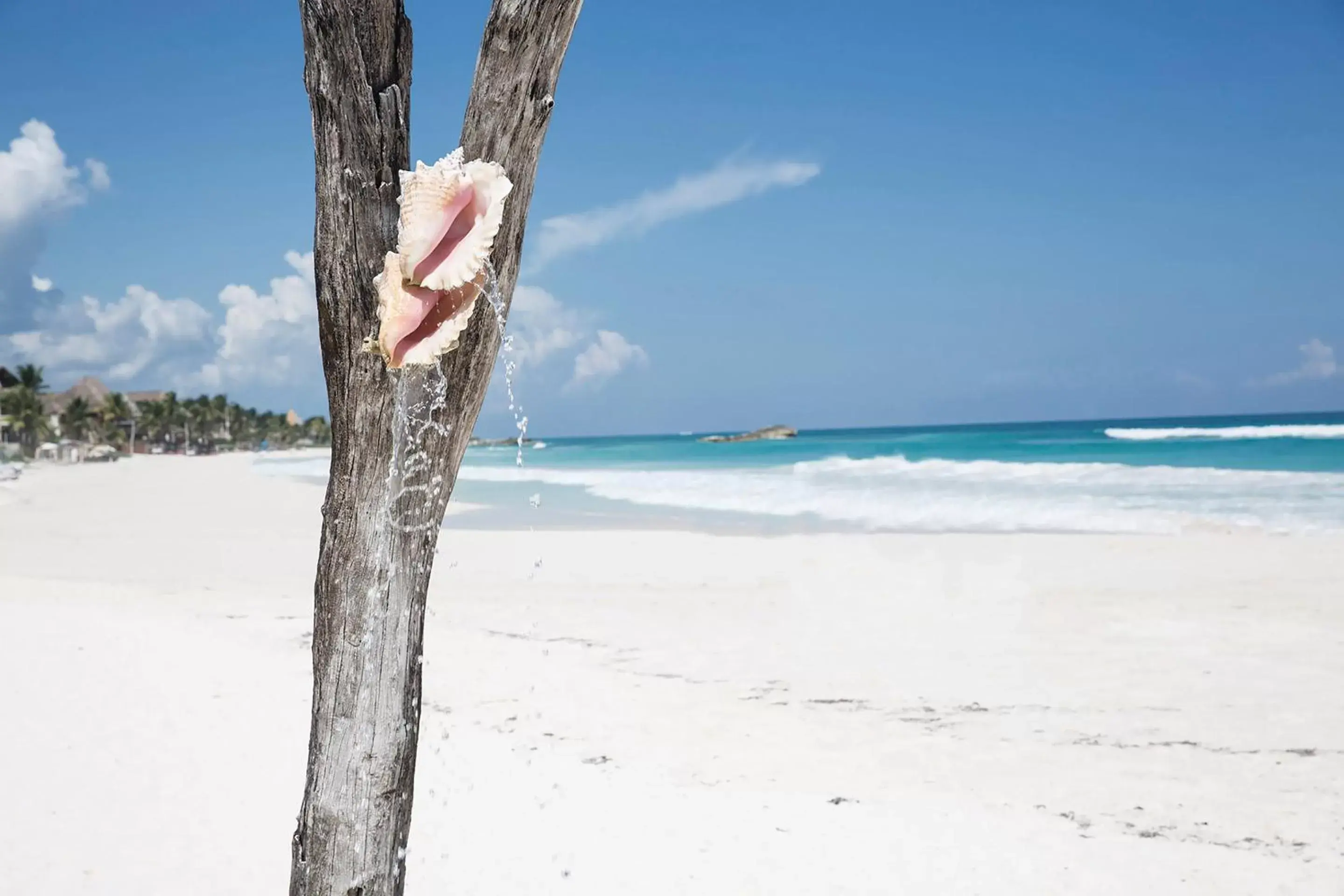 Beach in Coco Tulum Beach Club Hotel